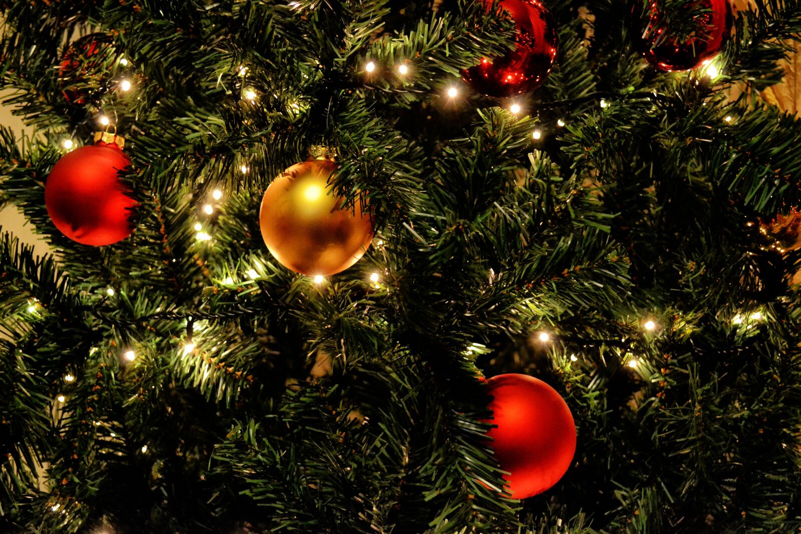 Nikon D3100 sample photo. Christmas tree, lights, balls photography