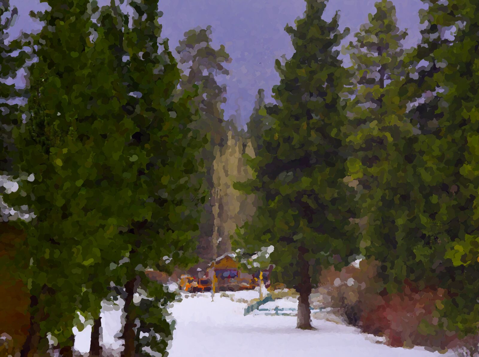 Nikon D750 sample photo. Trees in snow, tree photography
