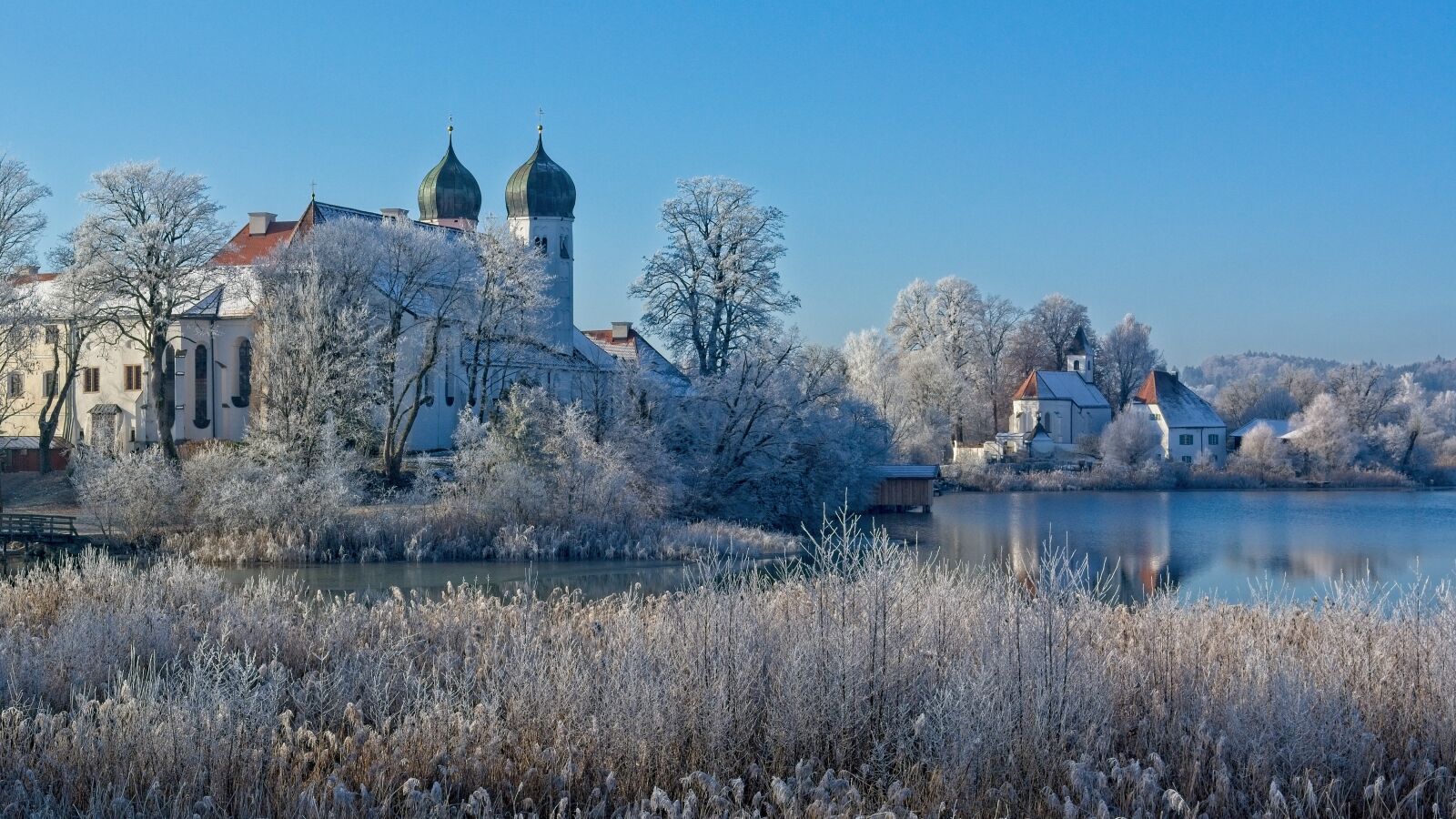 Nikon D7100 sample photo. Winter, frost, cold photography