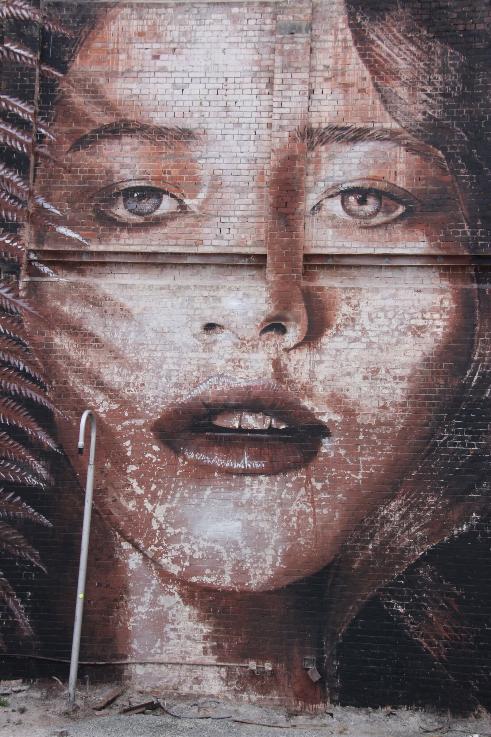 Canon EF-S 18-200mm F3.5-5.6 IS sample photo. Streetart, graffiti, art photography