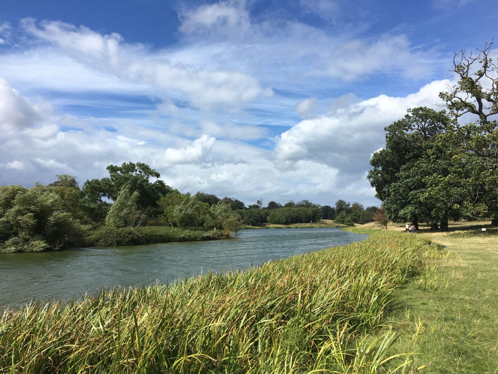 Apple iPhone 6s sample photo. River, trees, sky photography