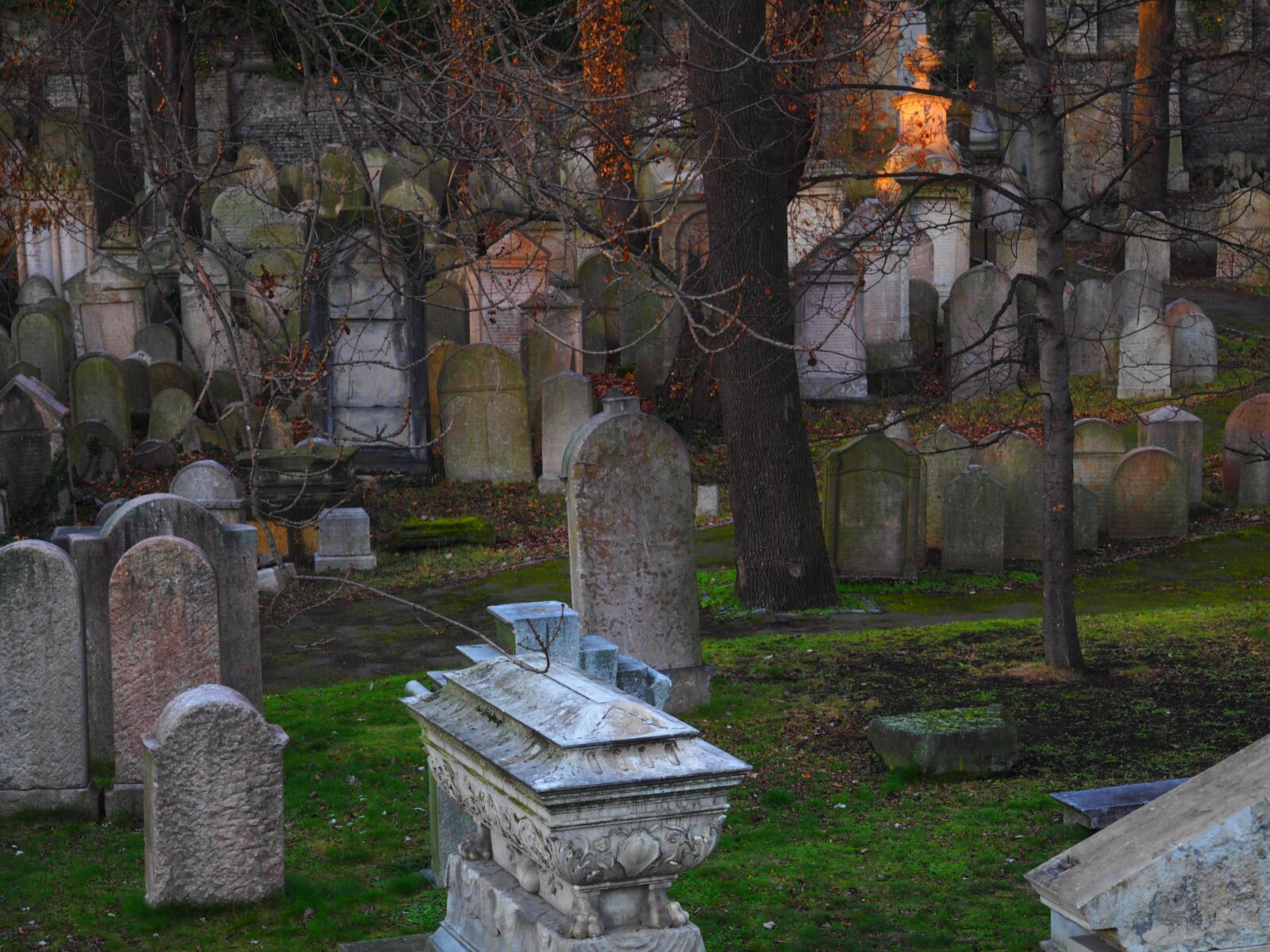 Olympus OM-D E-M10 sample photo. Cemetery, jewish, judaism photography