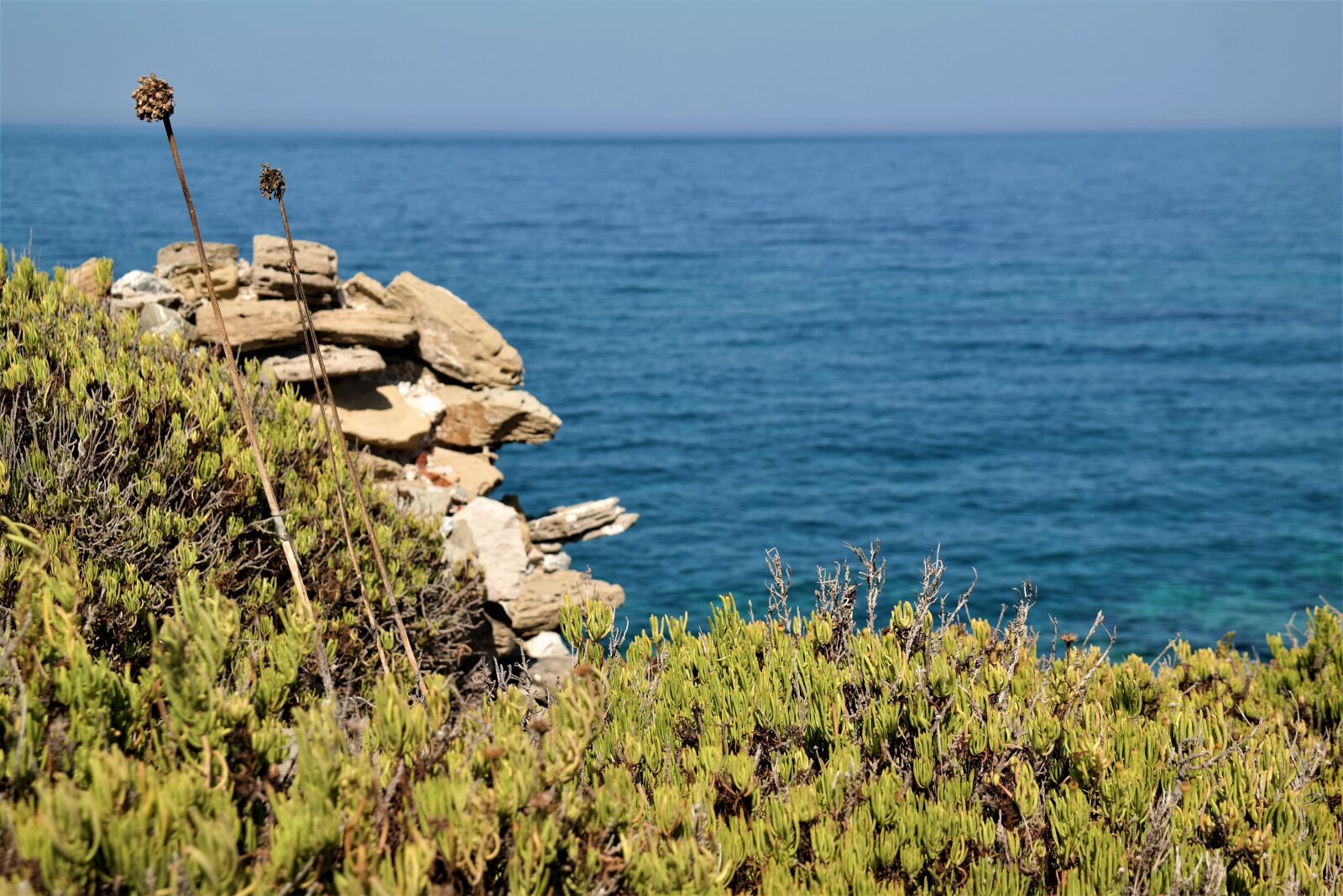 NX 18-55mm F3.5-5.6 sample photo. Sea, plant, stones photography