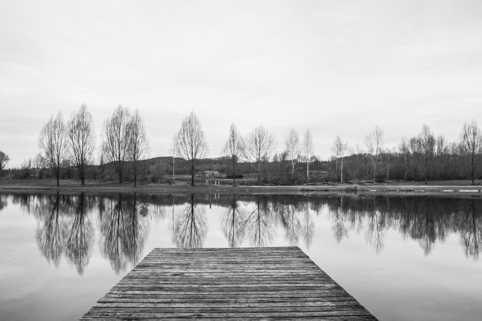 Nikon D5300 sample photo. Black white, monochrome, web photography