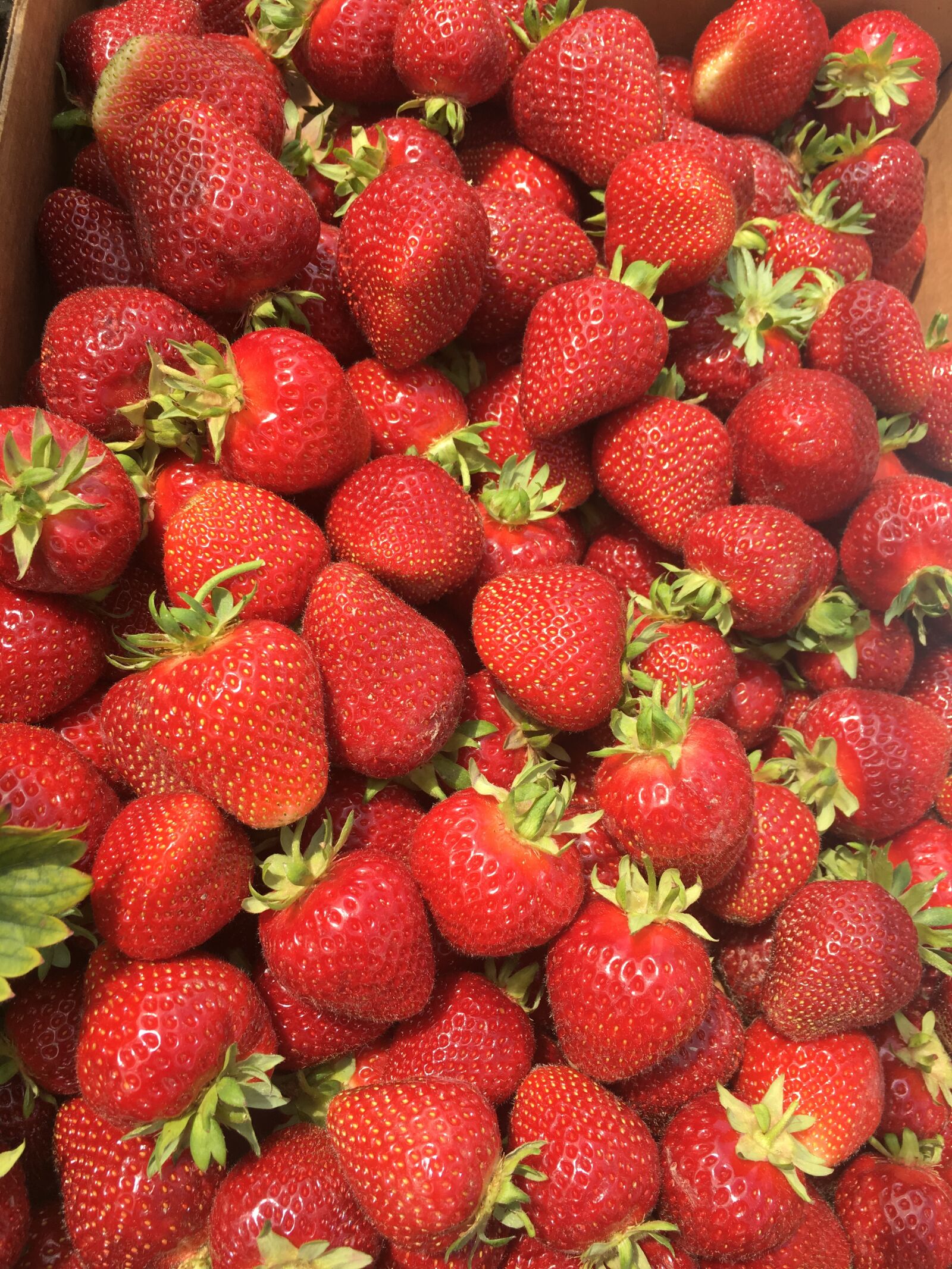 Apple iPhone 6s sample photo. Strawberry, fruit, harvest photography