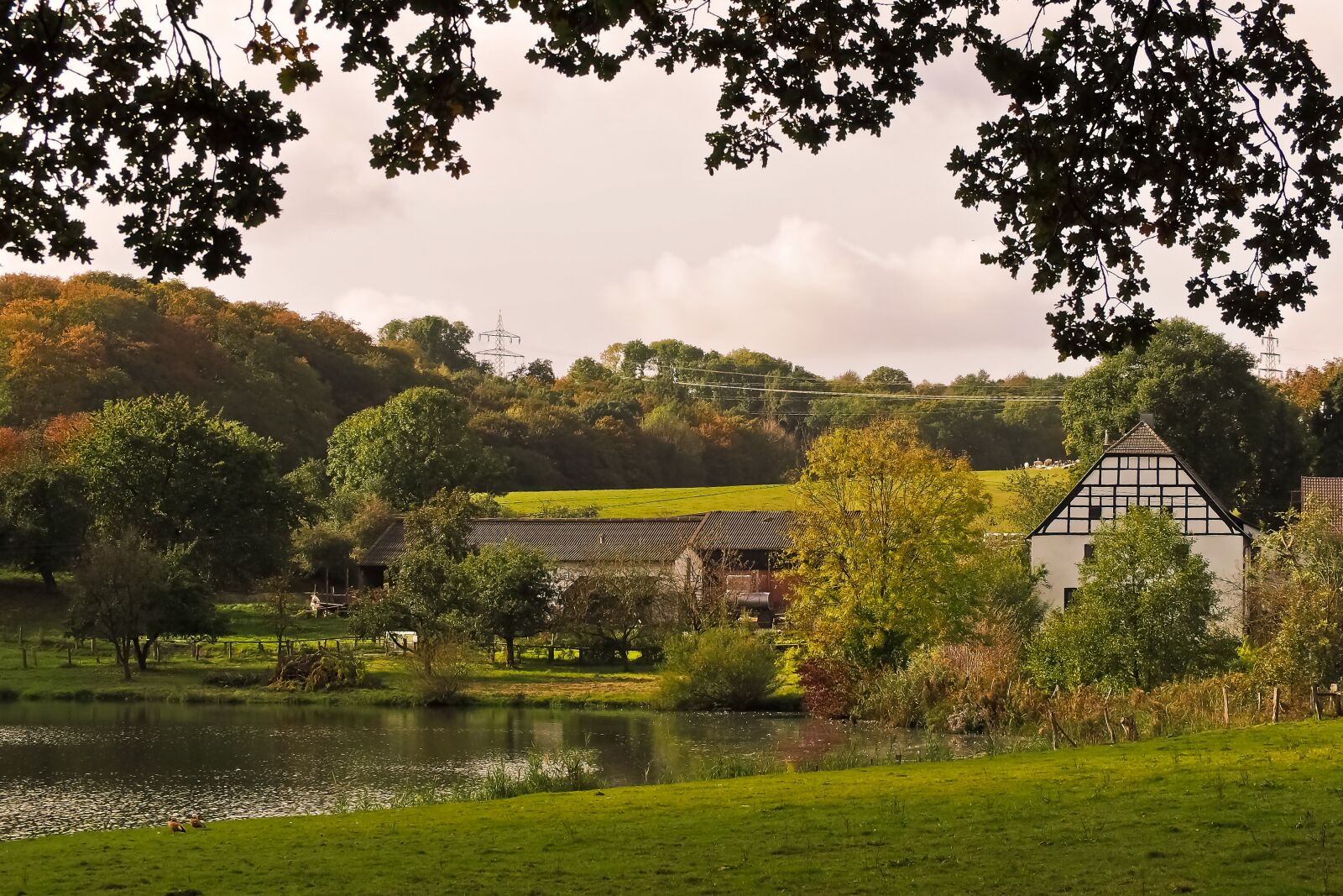 Olympus OM-D E-M10 sample photo. Landscape, farmhouse, agriculture photography