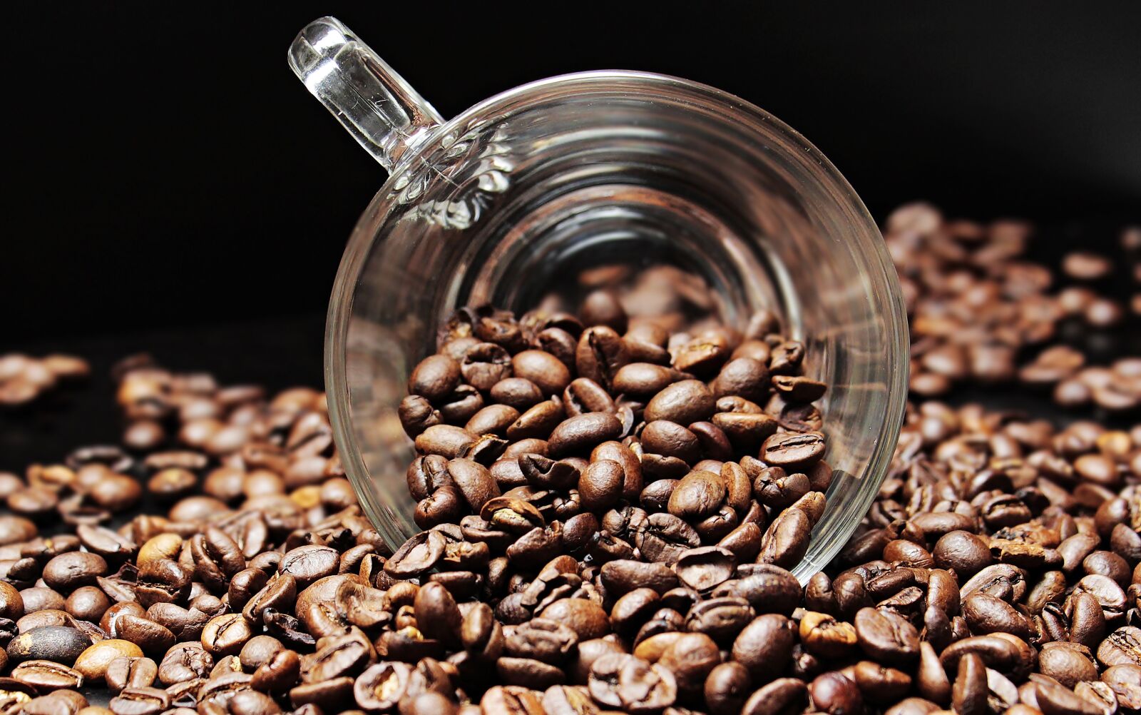 Canon EOS 100D (EOS Rebel SL1 / EOS Kiss X7) sample photo. Coffee beans, coffee cup photography