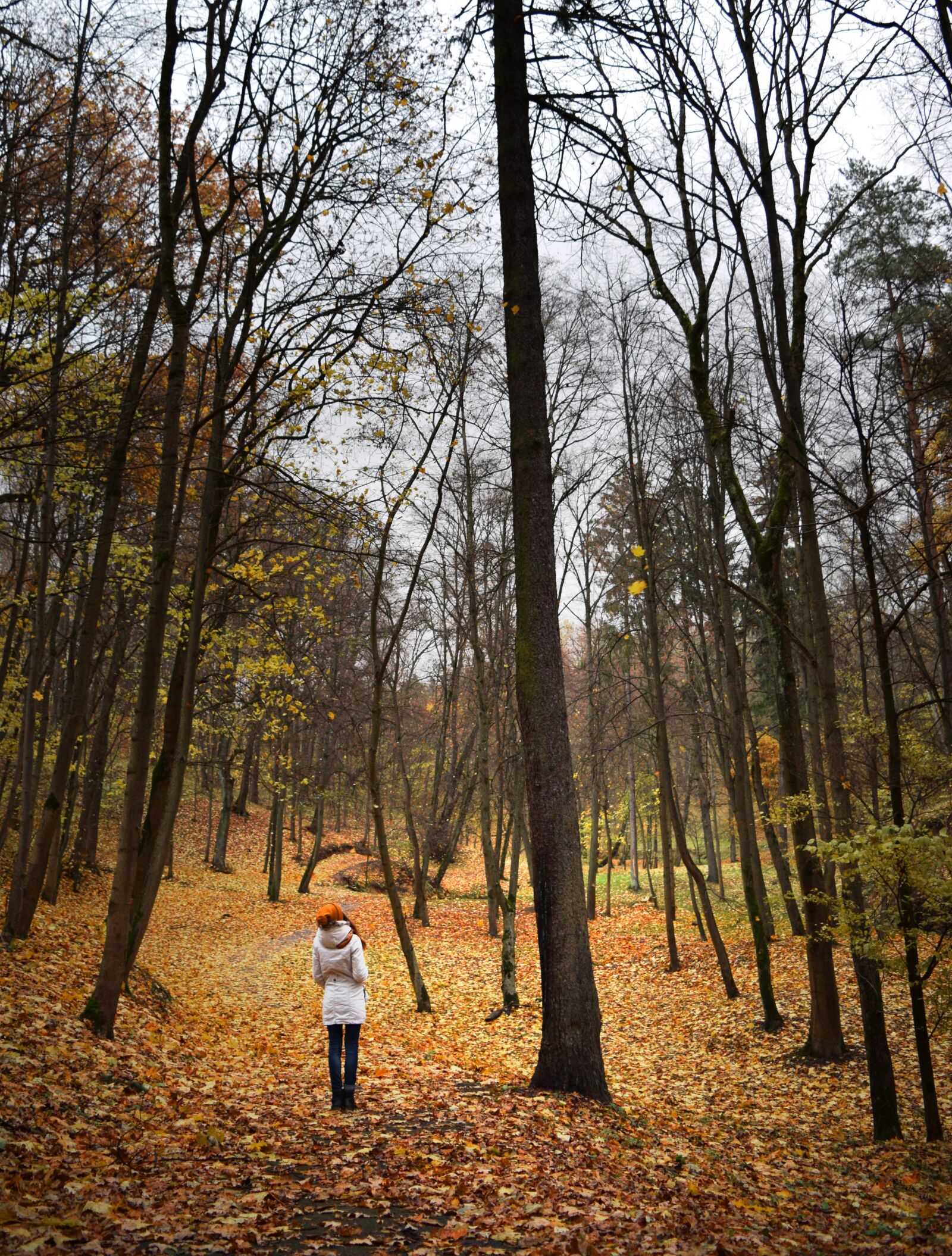 Nikon D3300 sample photo. Autumn, girl, trees photography