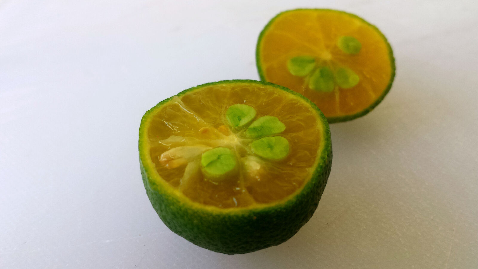 Samsung Galaxy S4 sample photo