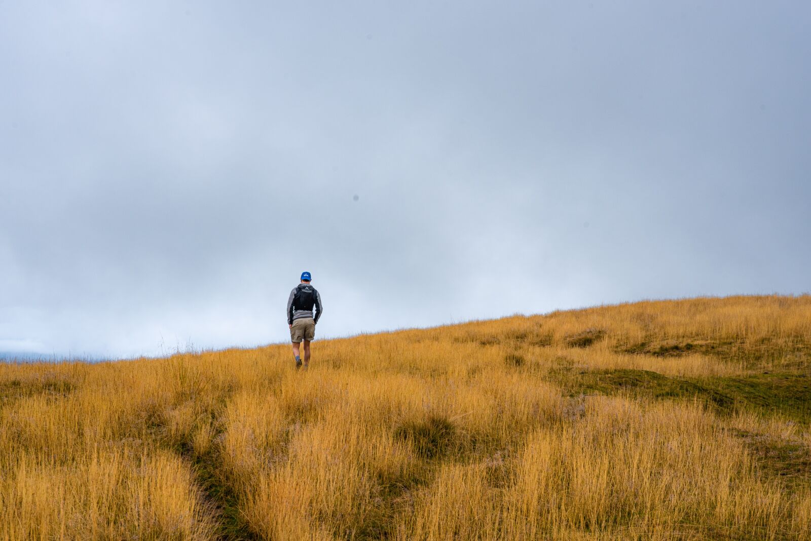 Nikon D750 sample photo. Grey, mountain, nature photography