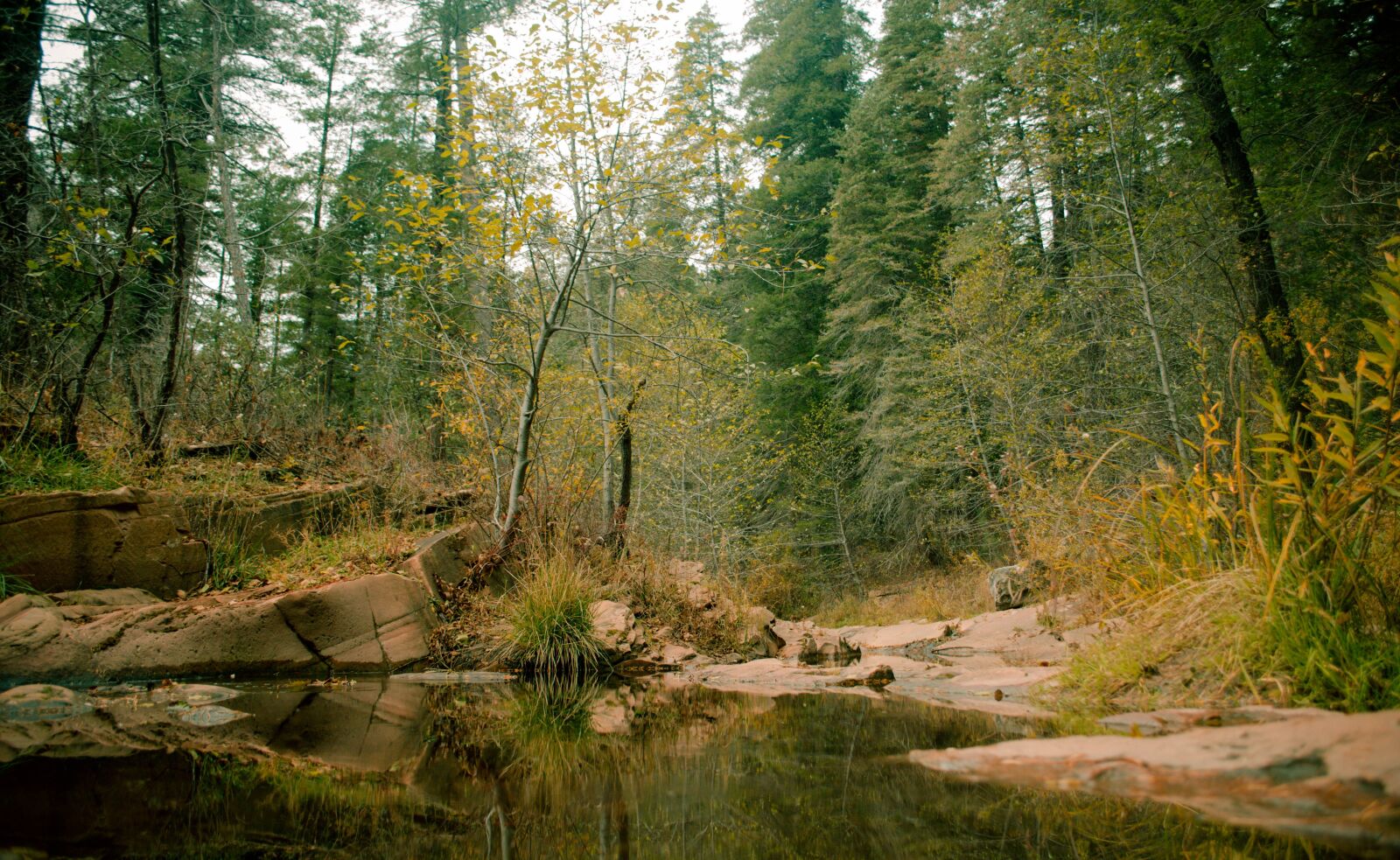 Nikon D5100 sample photo. Calm, water, trek photography