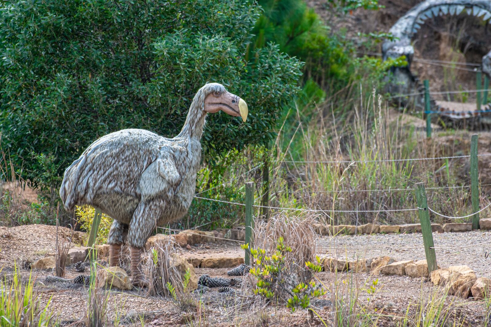 Nikon D5600 sample photo. Dodo, gondava, park photography