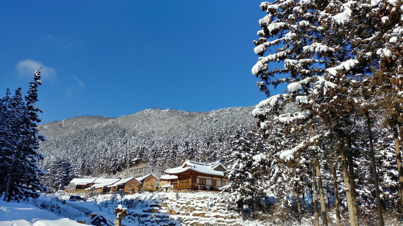 LG V20 sample photo. Snow, nature, winter photography