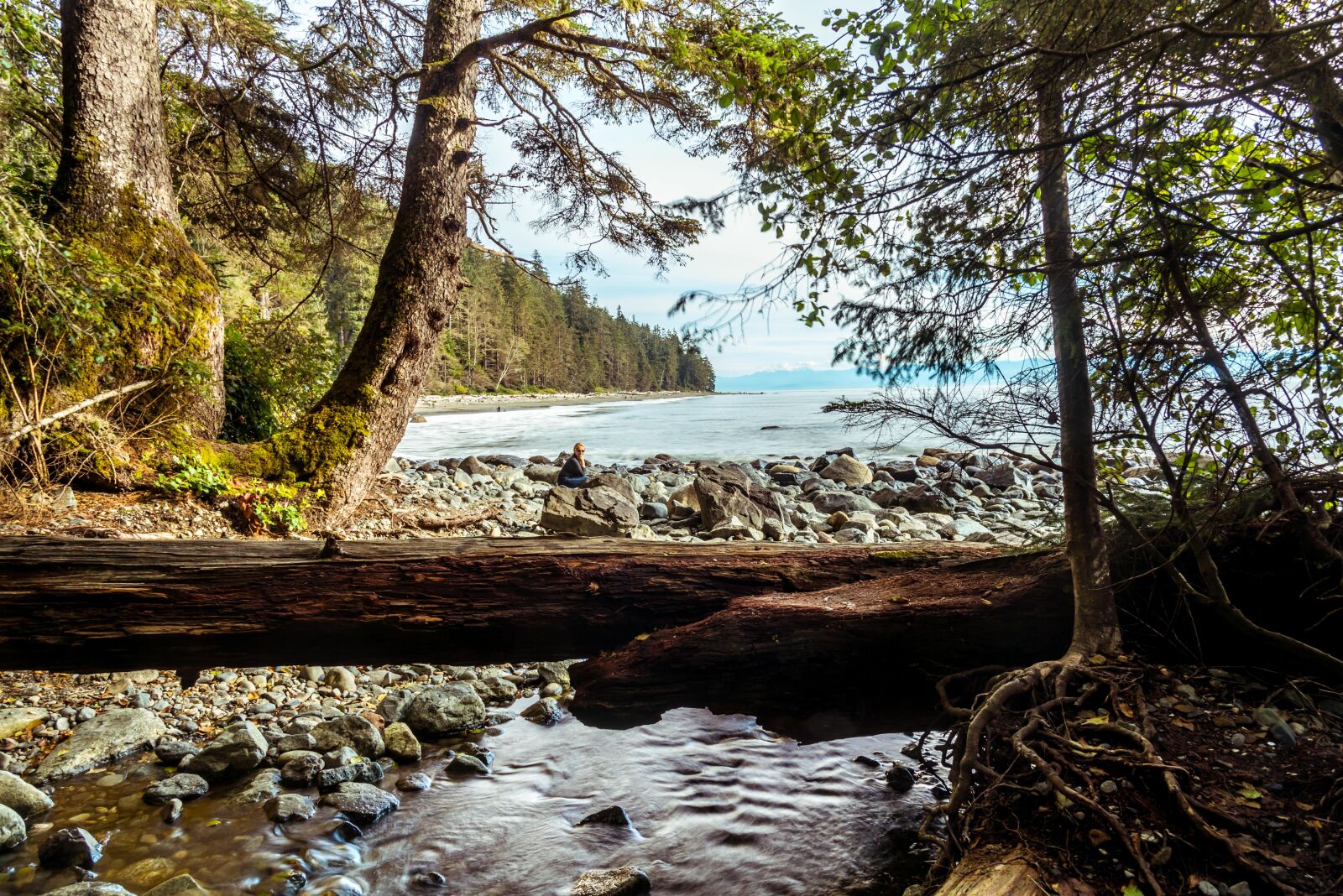 Nikon D750 sample photo. West coast, coast, rocks photography