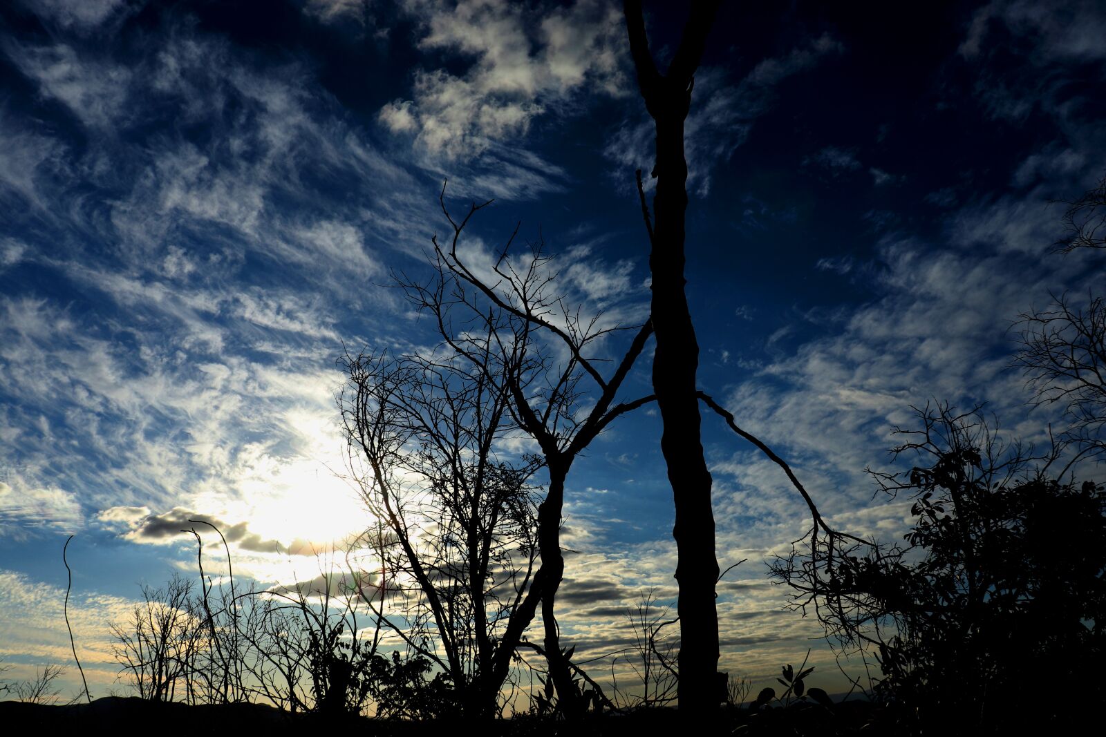 Canon EOS 200D (EOS Rebel SL2 / EOS Kiss X9) sample photo. Sky, blue, twilight photography