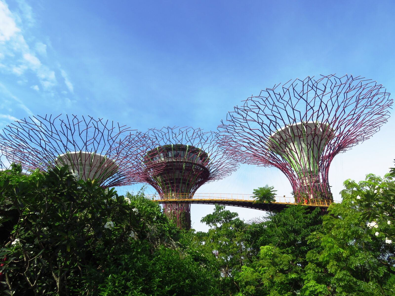 Canon PowerShot SX60 HS sample photo. Singapore, garden by the photography