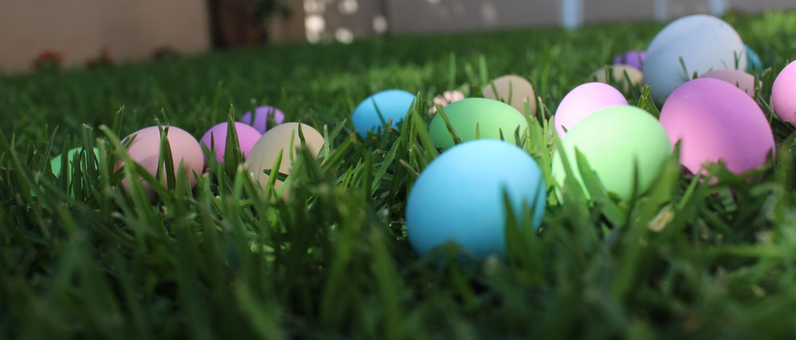 Canon EOS 2000D (EOS Rebel T7 / EOS Kiss X90 / EOS 1500D) sample photo. Easter, garden, decoration photography