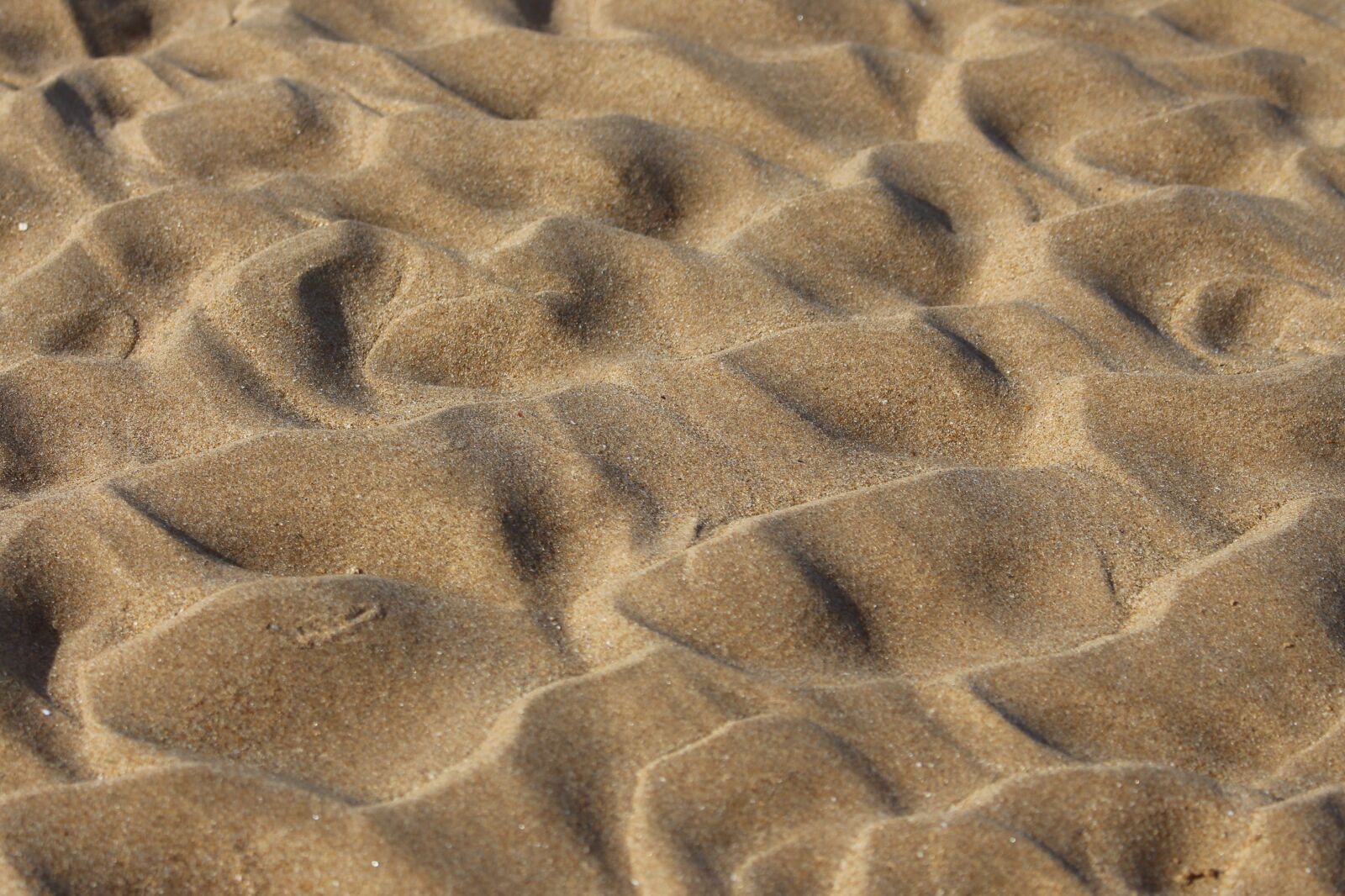 Canon EOS 700D (EOS Rebel T5i / EOS Kiss X7i) sample photo. Sand, macro, beach photography