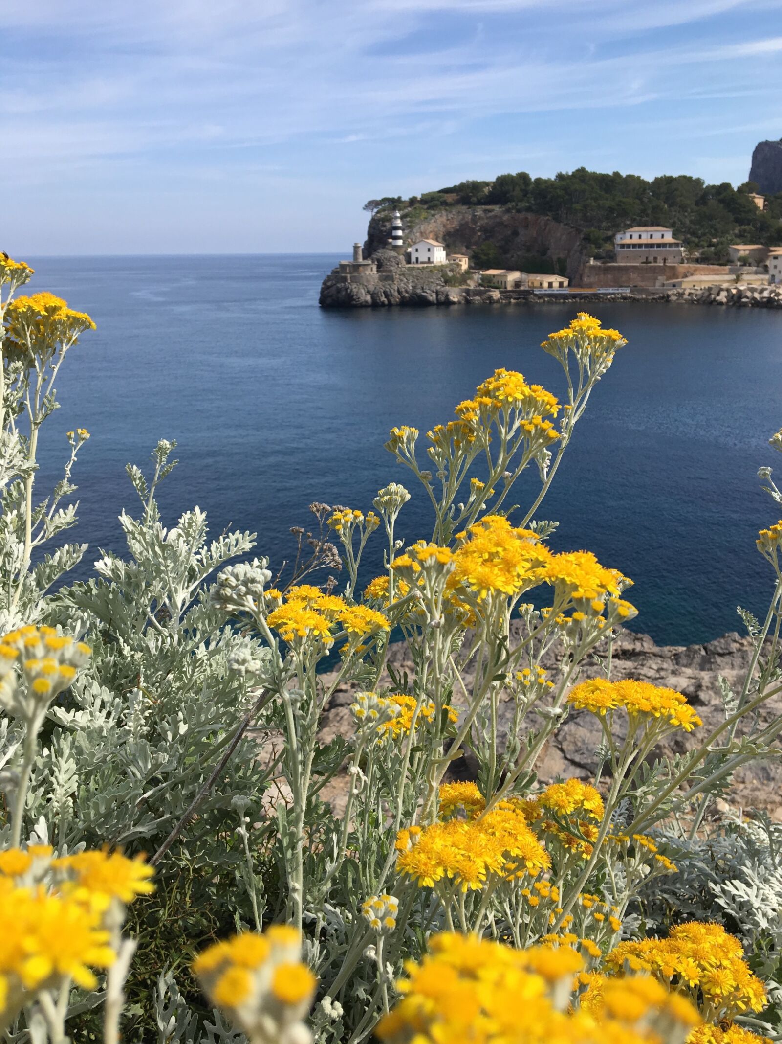 Apple iPhone 6s sample photo. Landscape, sea, cliff photography