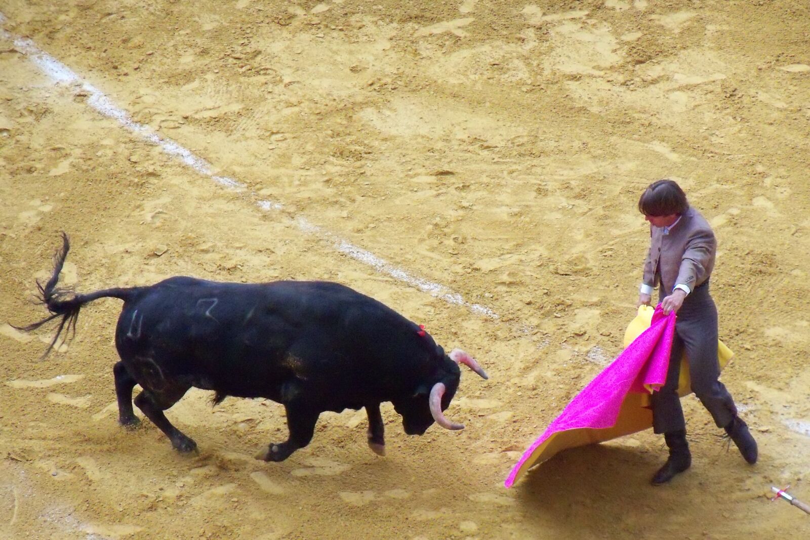 Kodak EasyShare Z915 sample photo. Corrida, bull, spain photography