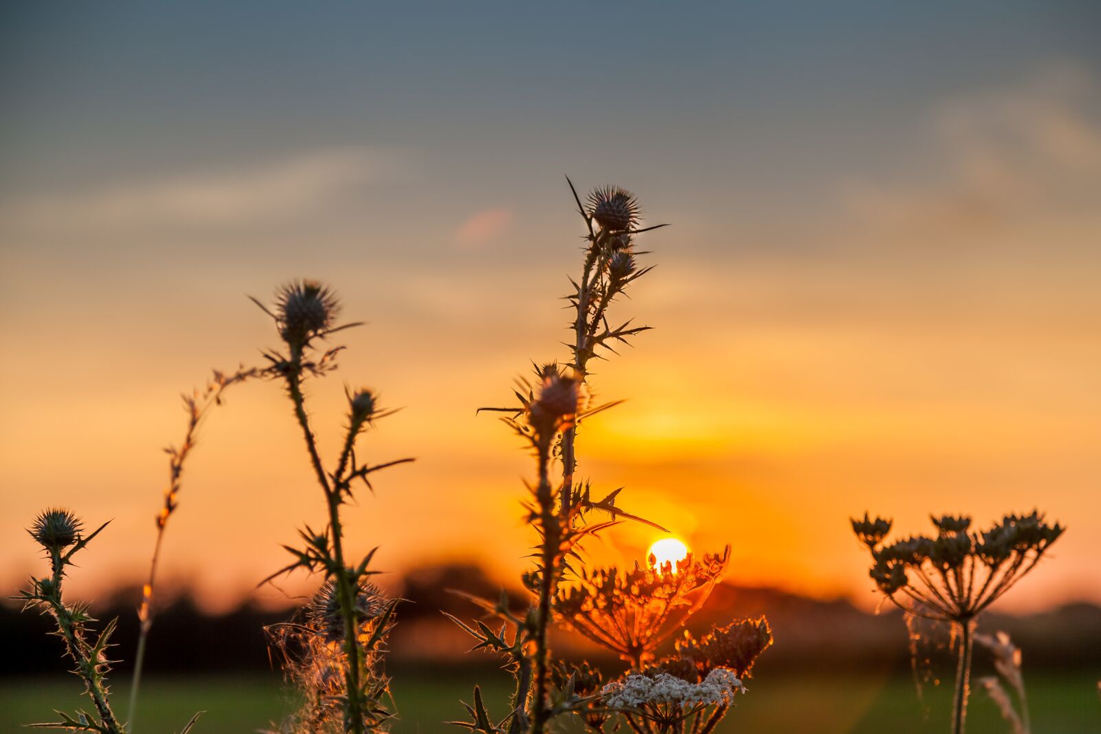 Canon EOS 5D Mark II sample photo. Sunset, autumn, abendstimmung photography