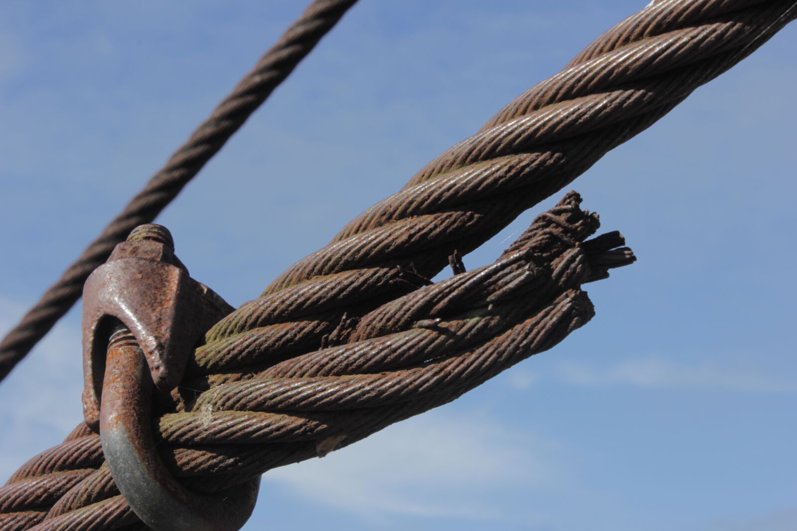 Canon EOS 60D sample photo. Steel cable, steel, cable photography