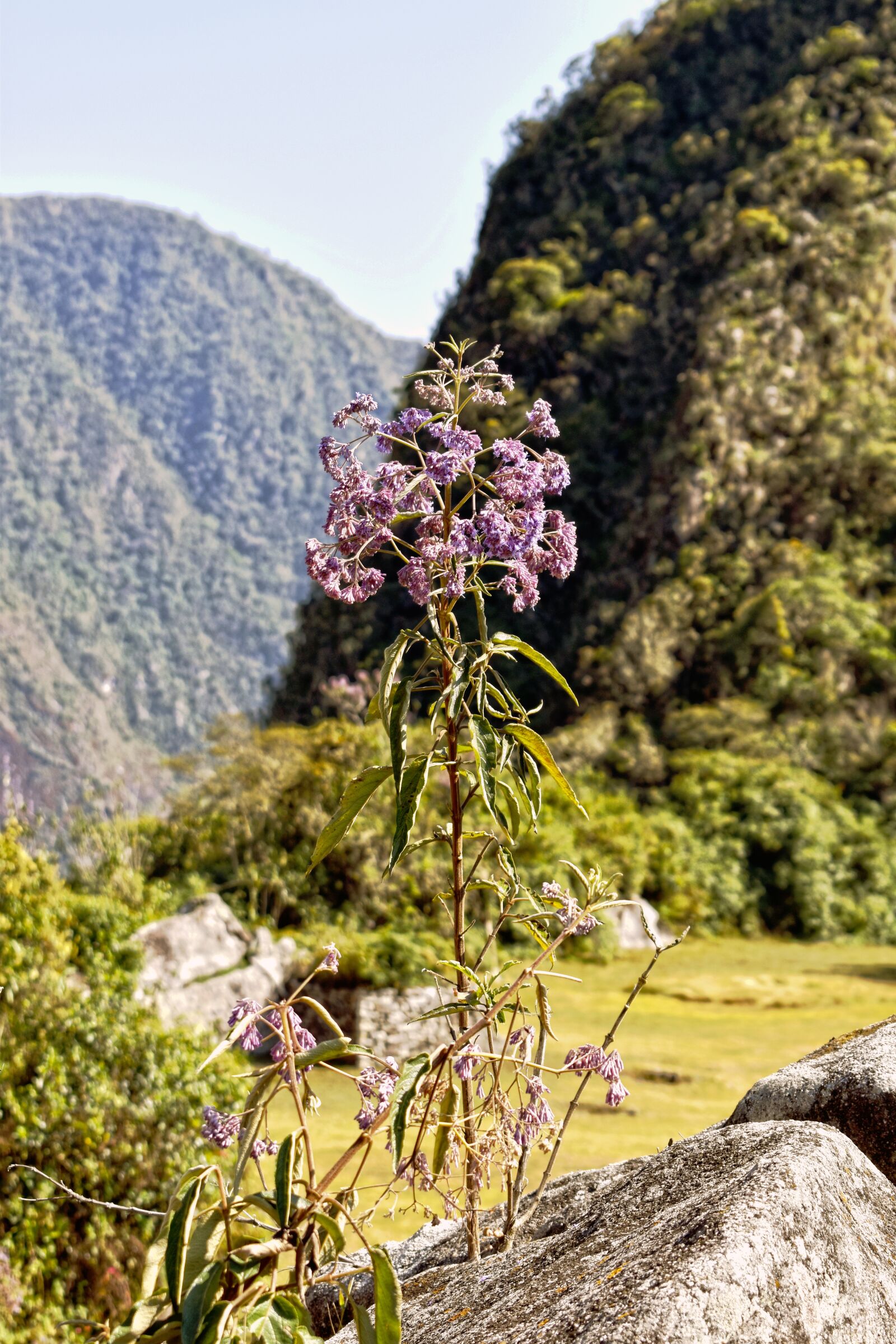 Nikon D3500 sample photo. Cusco, peru, landscape photography
