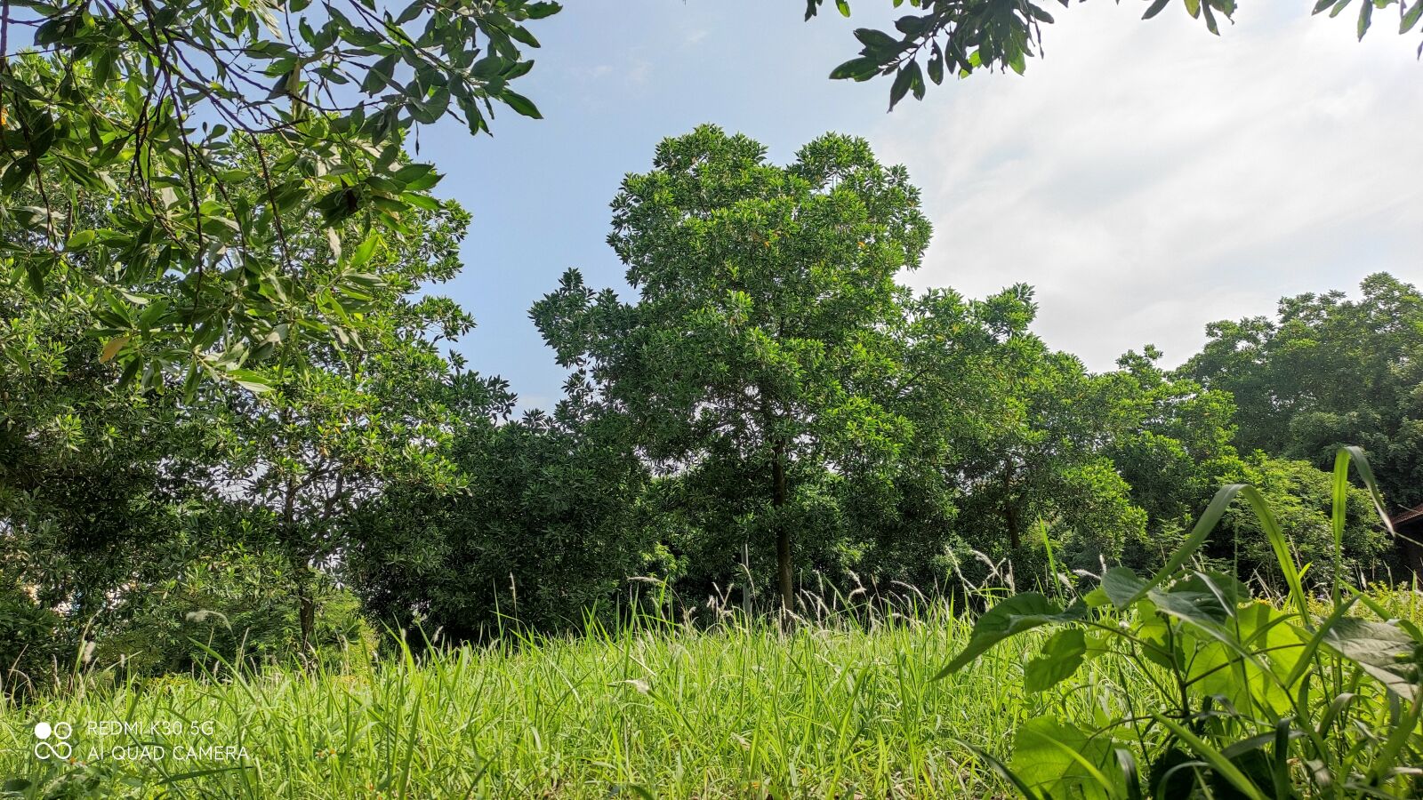 Xiaomi Redmi K30 5G sample photo. Eat, sleep, learning photography