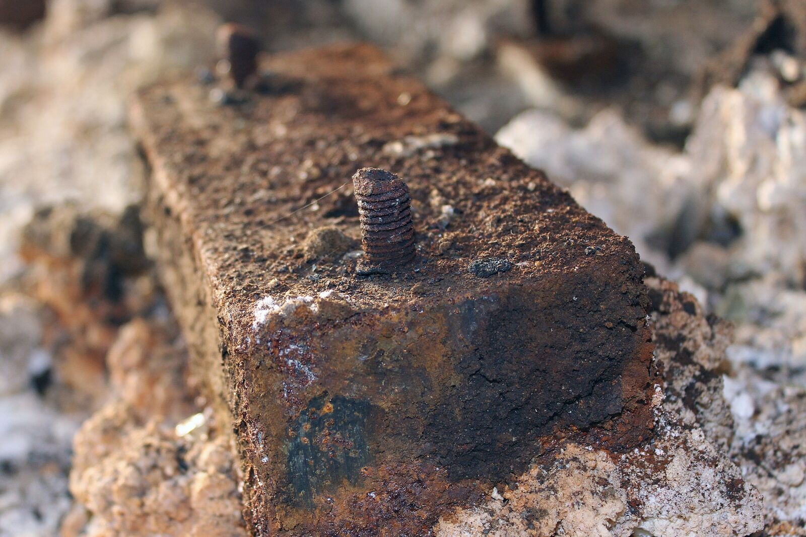 Canon EOS 600D (Rebel EOS T3i / EOS Kiss X5) sample photo. Rust, iron, screw photography