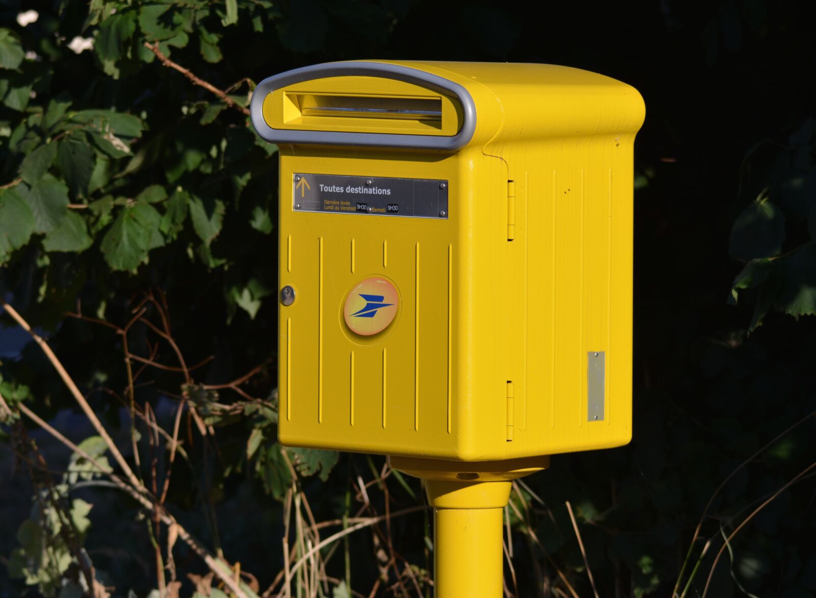 Nikon D7100 sample photo. Box, letters, post photography
