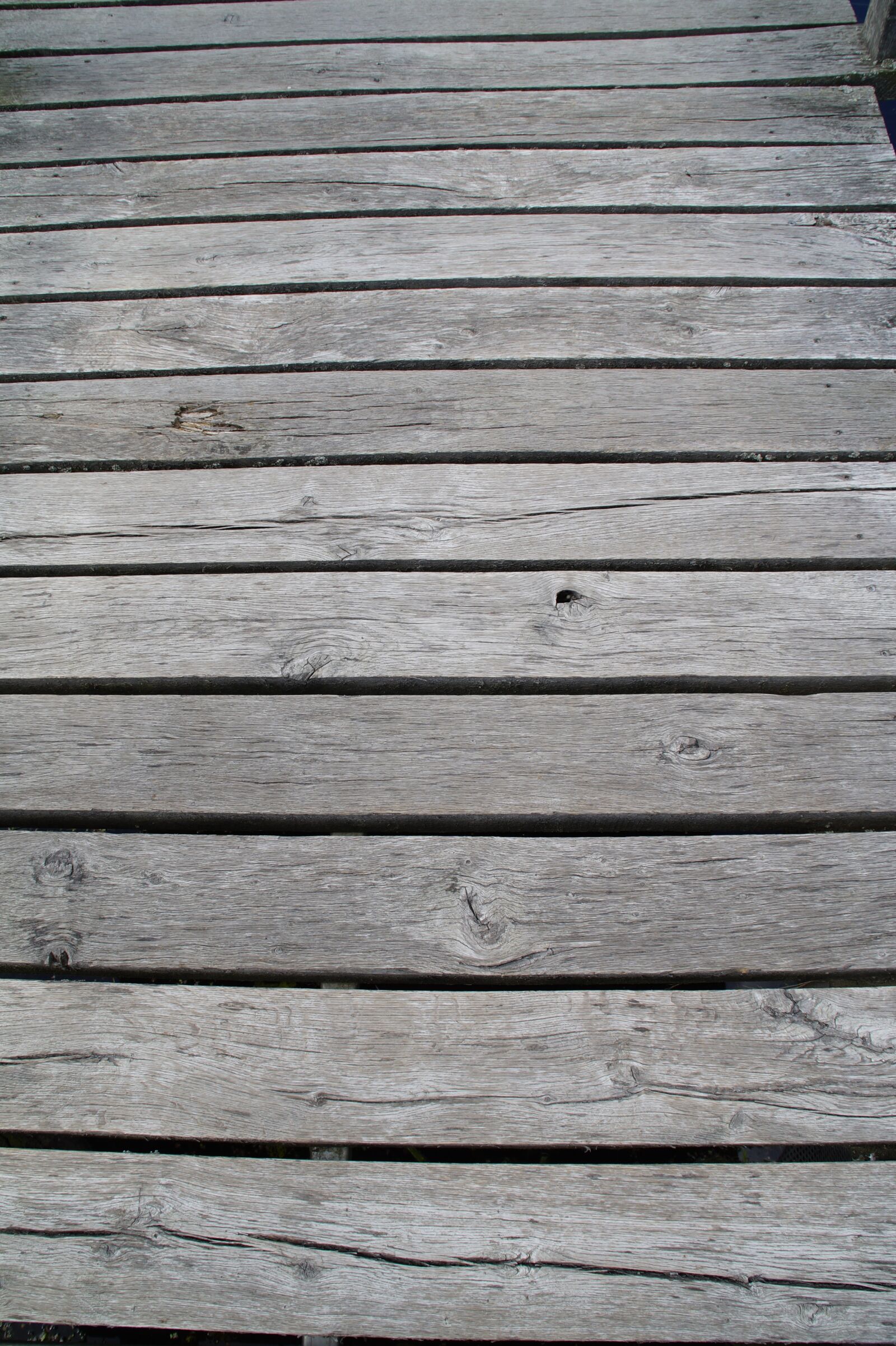 Sony SLT-A58 sample photo. Wood, boardwalk, boards photography