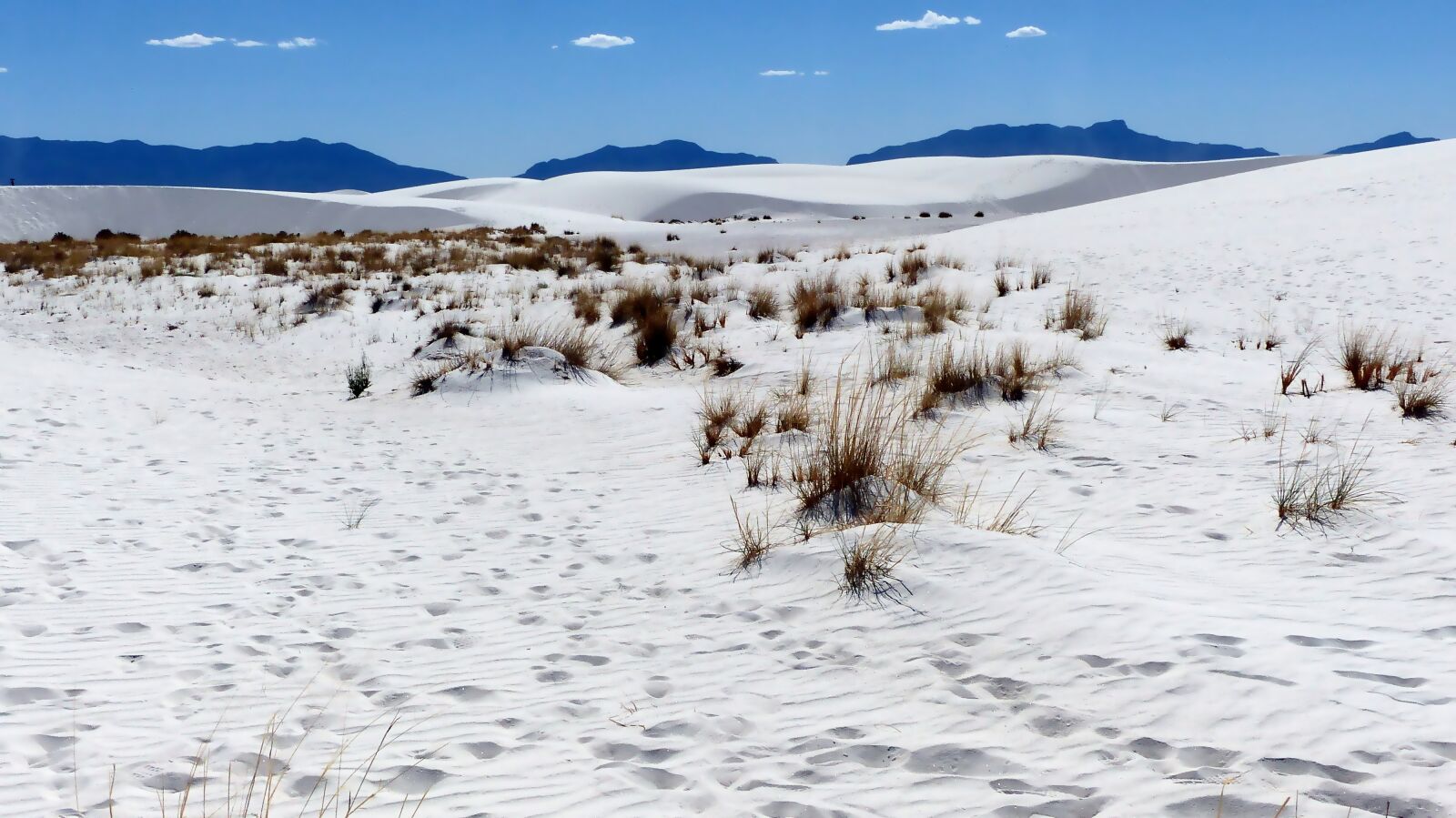Panasonic Lumix DMC-FZ200 sample photo. Desert, sand, white photography