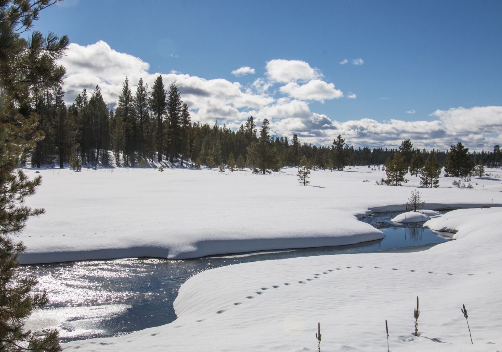 Canon EOS 70D sample photo. Landscape, snow, scenic photography