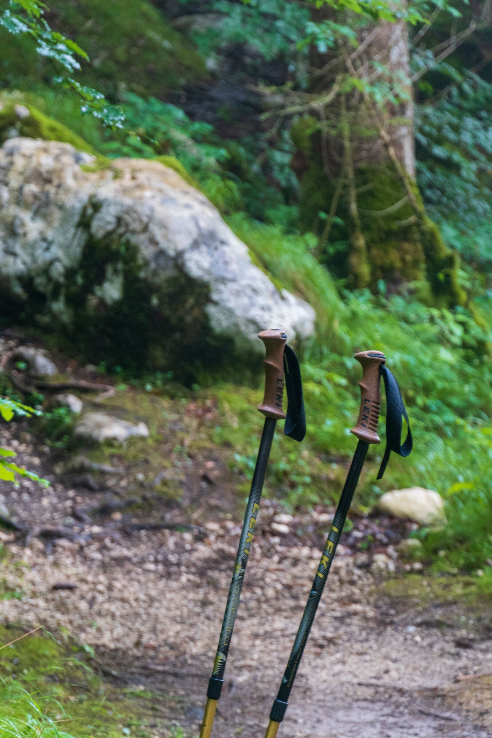 Sony E 18-135mm F3.5-5.6 OSS sample photo. Hiking poles, hiking, nature photography