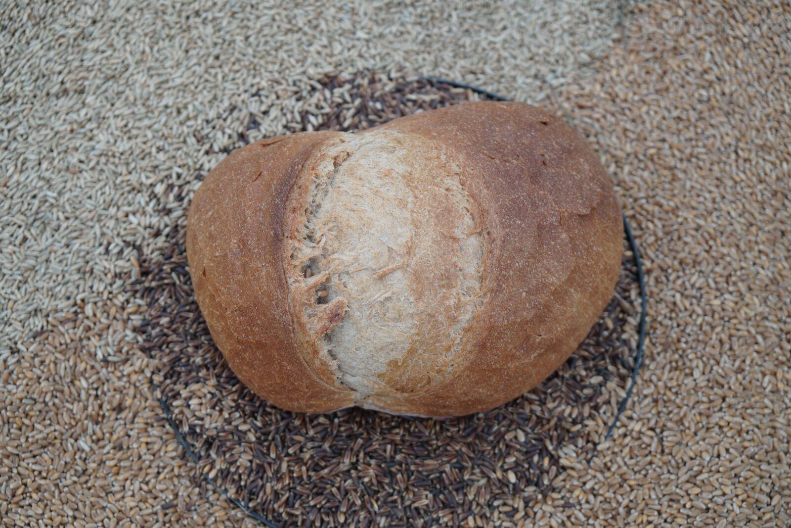 Sony a6500 + Sony Vario-Tessar T* E 16-70mm F4 ZA OSS sample photo. Bread, grain, food photography