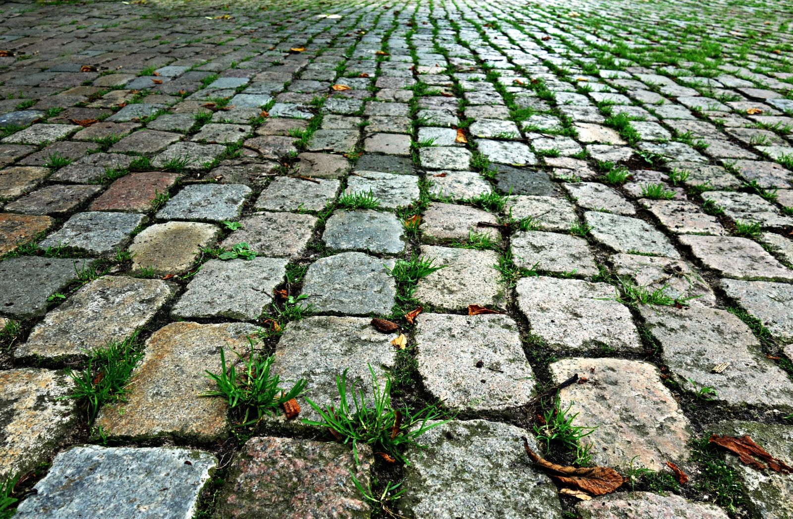 Sony Cyber-shot DSC-RX100 sample photo. Stone, cobblestone, cobbles photography