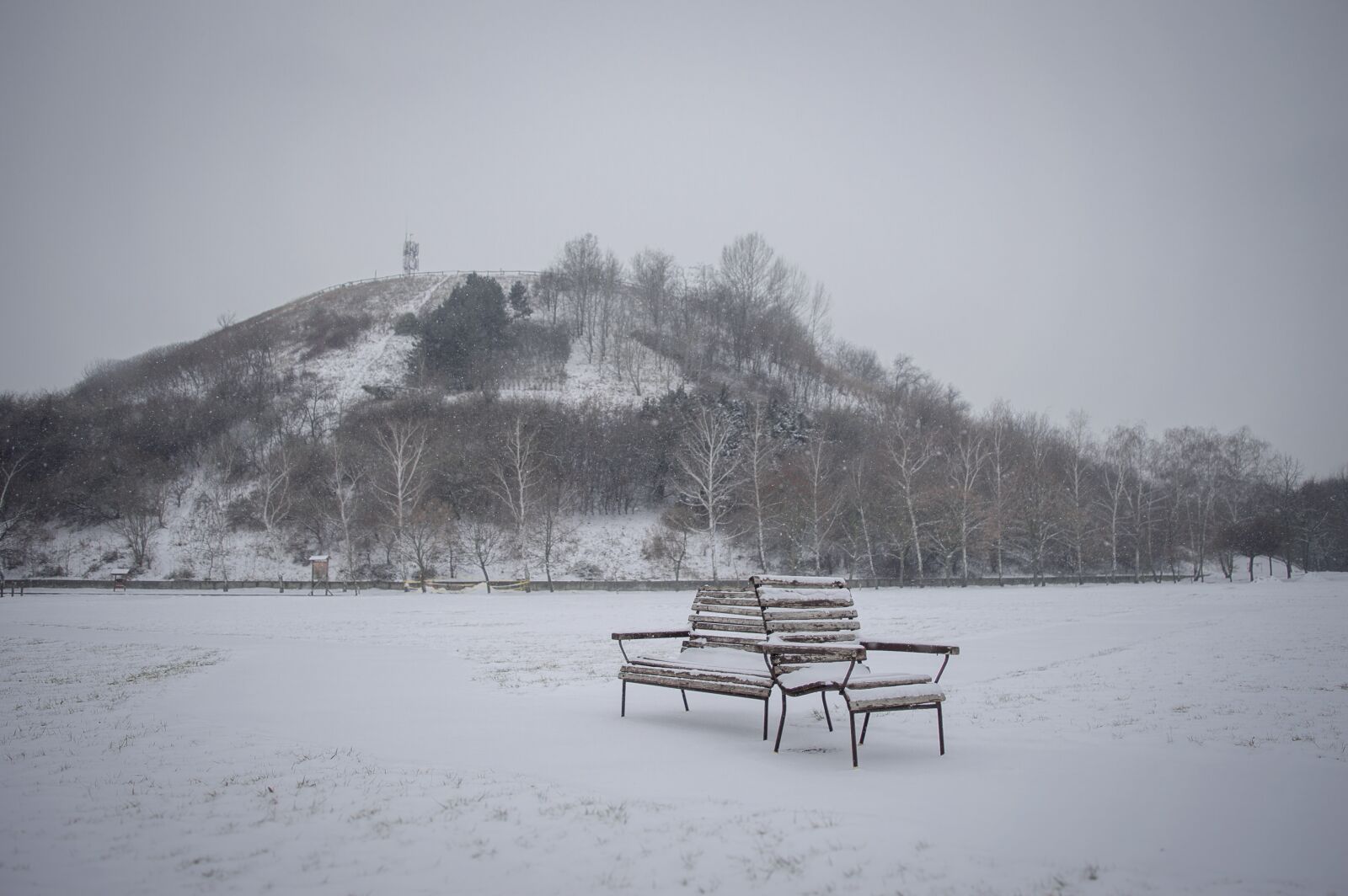 Nikon D3200 sample photo. Bench, snow, winter photography