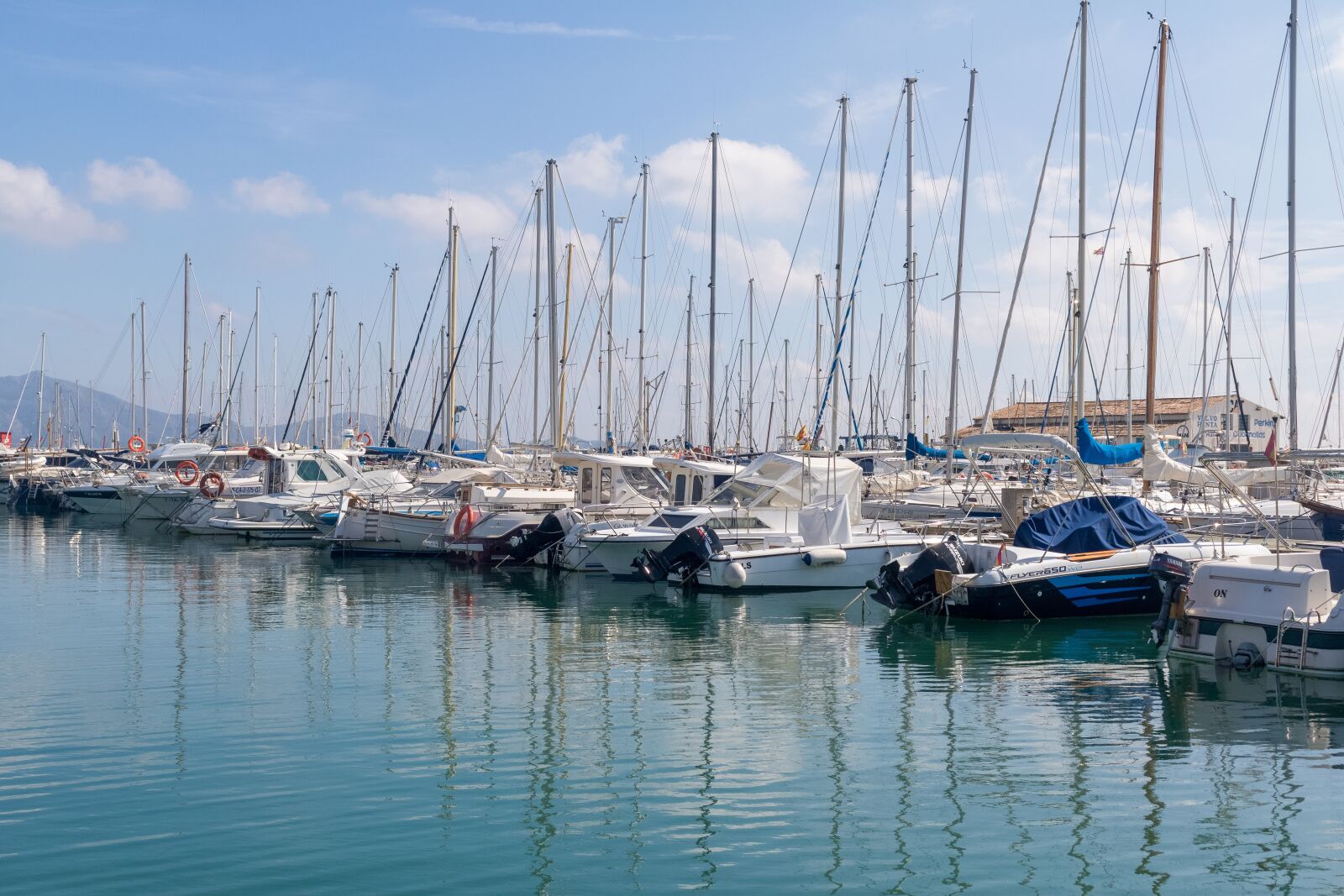 Canon EOS 750D (EOS Rebel T6i / EOS Kiss X8i) sample photo. Mallorca, port de pollen photography