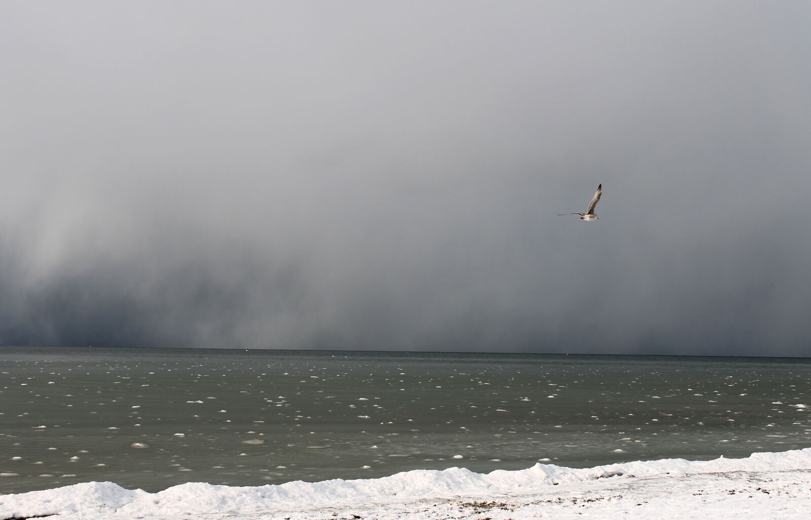 Canon EOS 1100D (EOS Rebel T3 / EOS Kiss X50) sample photo. Storm on the sea photography