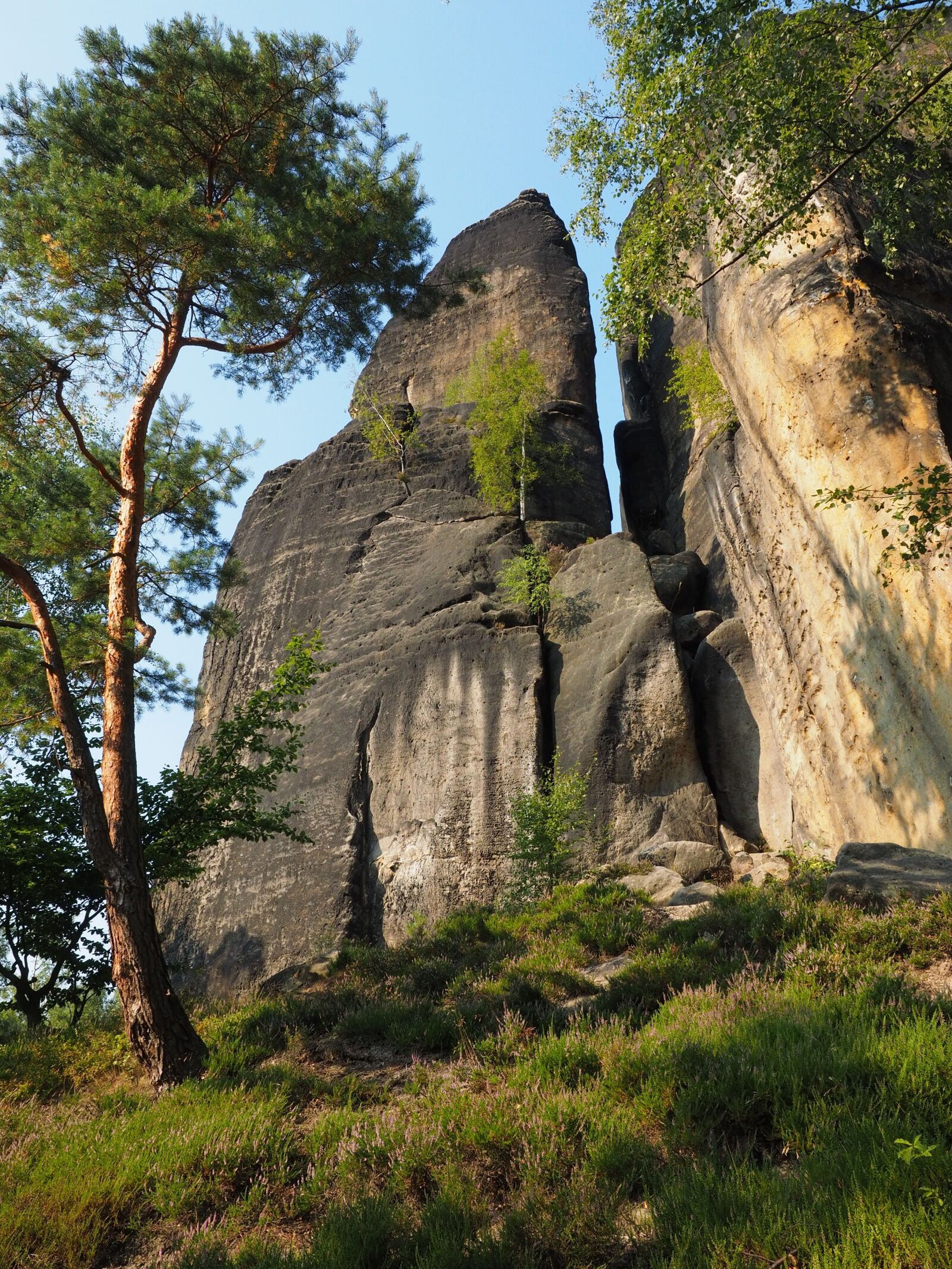 Olympus OM-D E-M1 + Olympus M.Zuiko Digital ED 12-40mm F2.8 Pro sample photo. Rock, elbe sandstone, hike photography