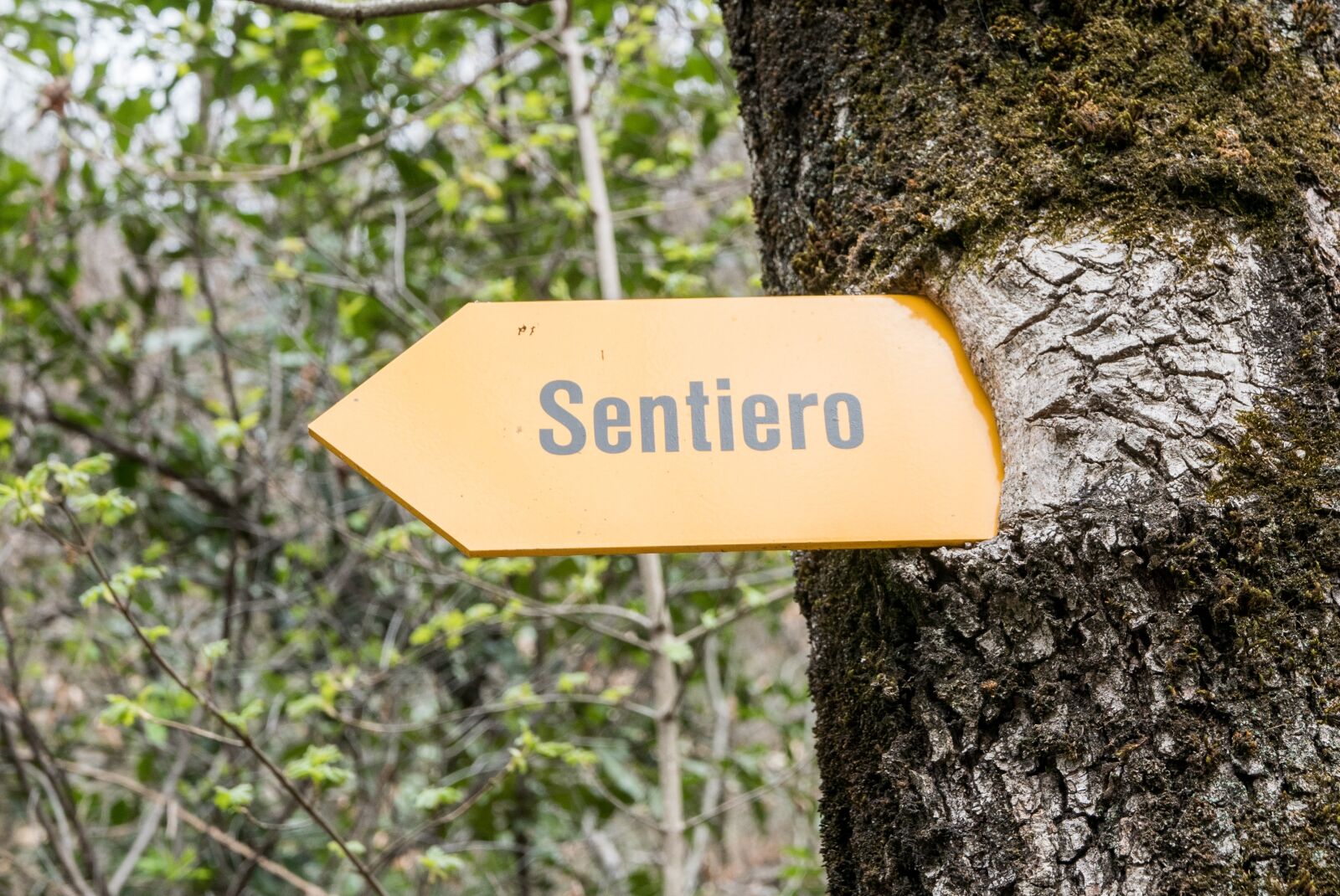 Panasonic Lumix DMC-LX100 sample photo. Ticino, maggia valley, directory photography