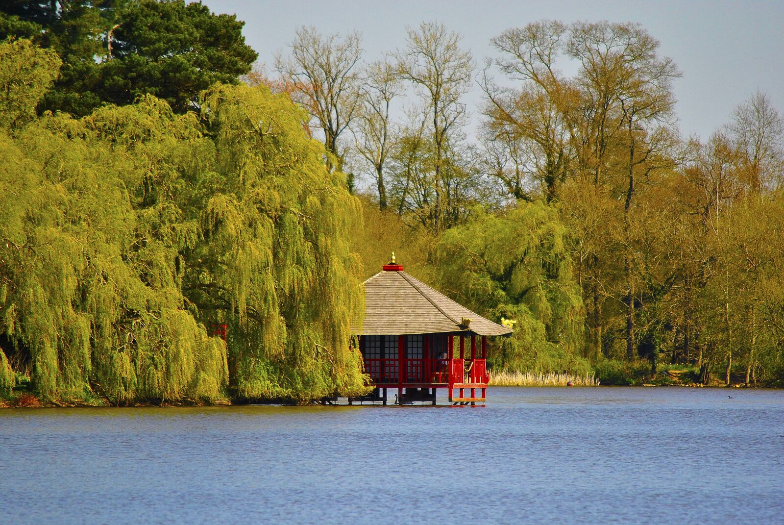 Nikon D3000 sample photo. Park, pond, water photography