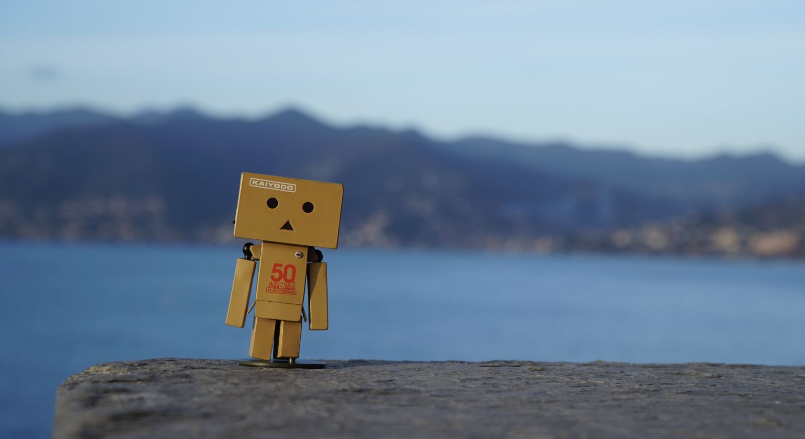 Sony a6300 + Sony E PZ 18-105mm F4 G OSS sample photo. Tray people, doll, toys photography
