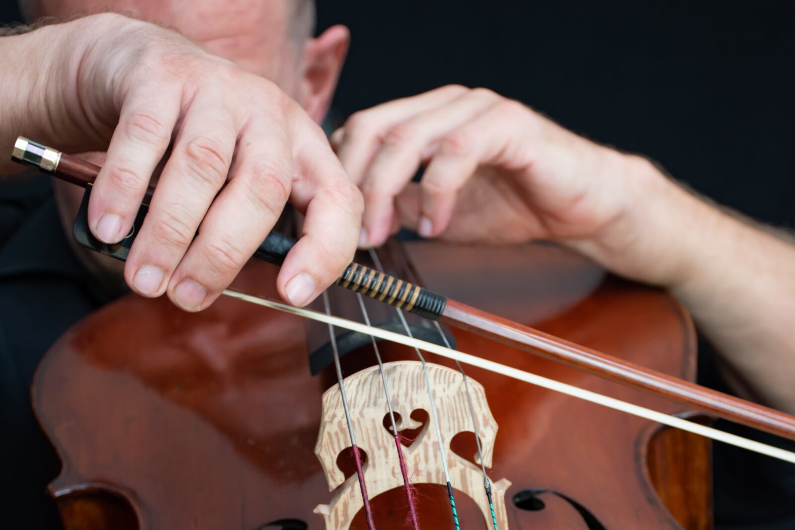 Nikon D5600 sample photo. Recording studio, cello, bow photography