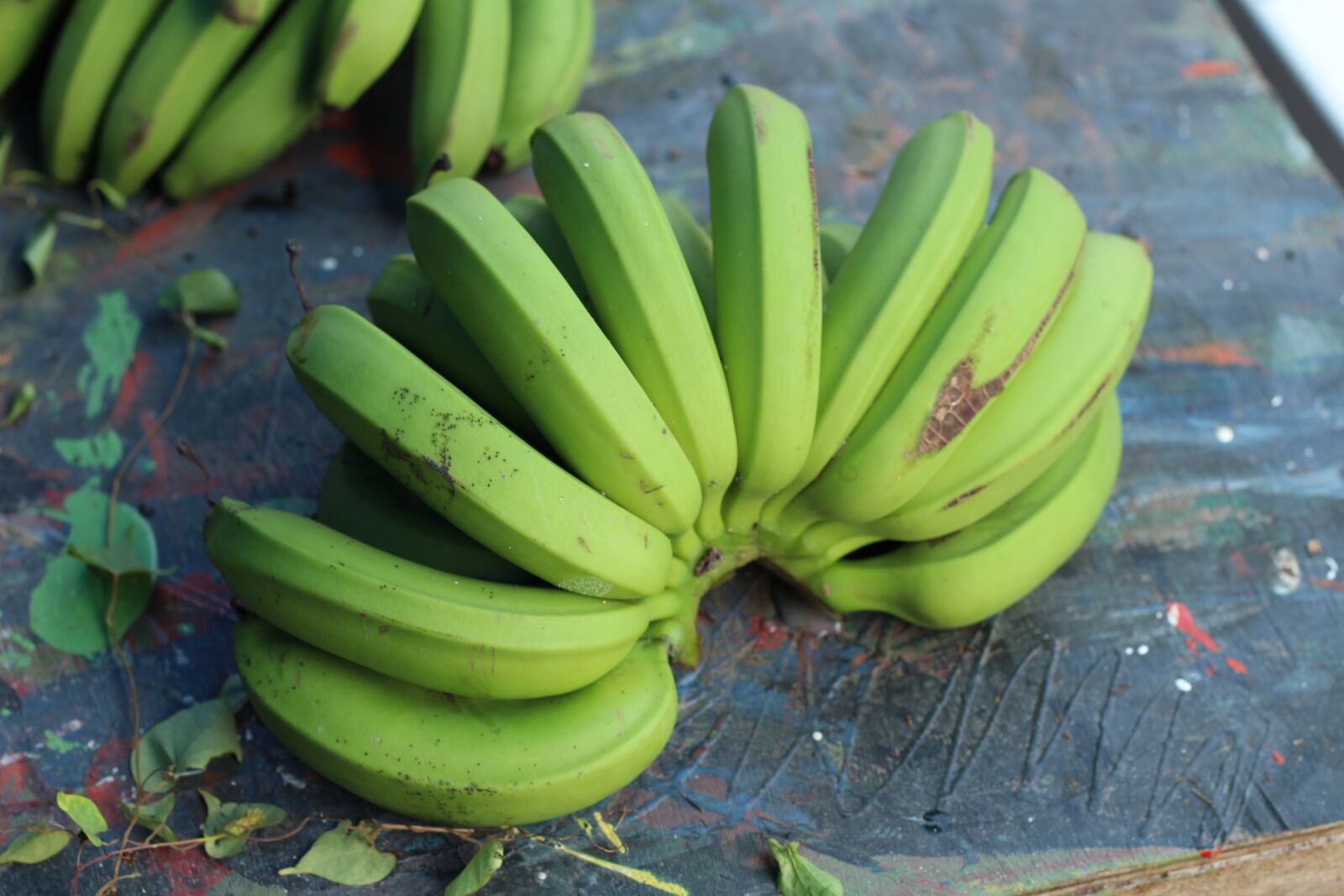 Canon EOS 100D (EOS Rebel SL1 / EOS Kiss X7) + Canon EF 50mm F1.8 II sample photo. Taiwan, banana, green photography