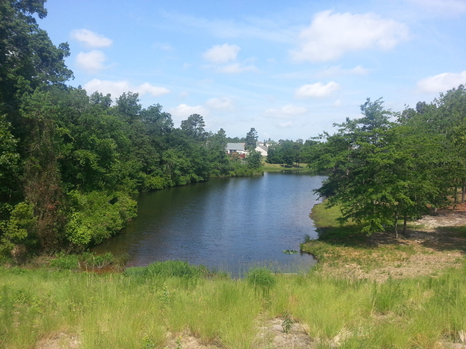 Samsung Galaxy Note2 sample photo. Lake, nature, pond, water photography