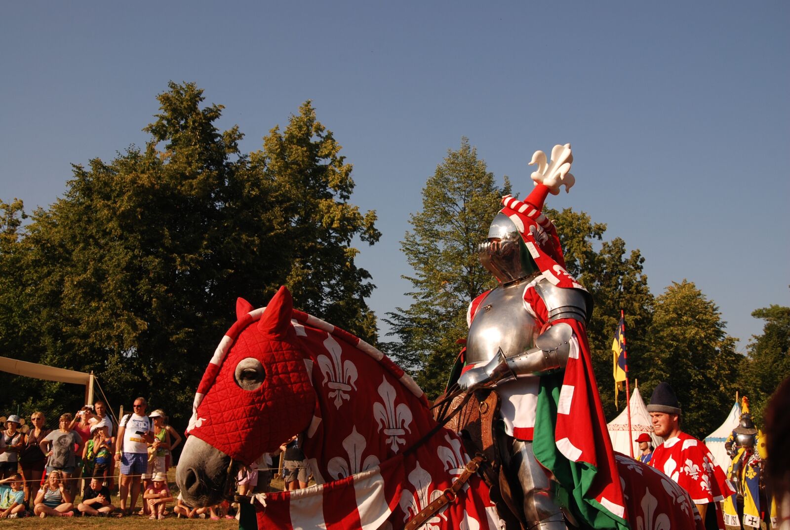 Nikon D80 sample photo. Knight, armor, middle ages photography