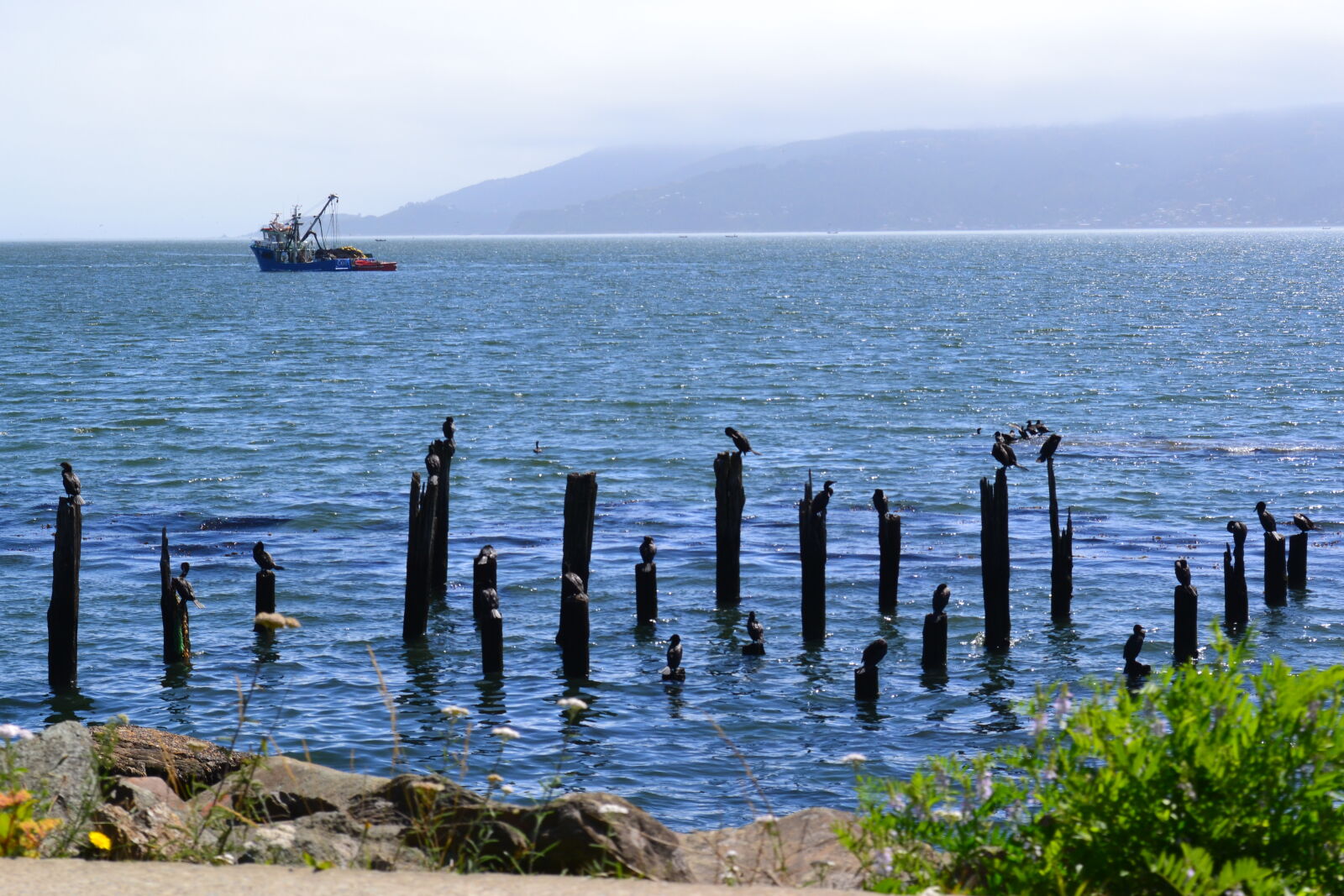 Nikon D3100 sample photo. Lago, vacation photography
