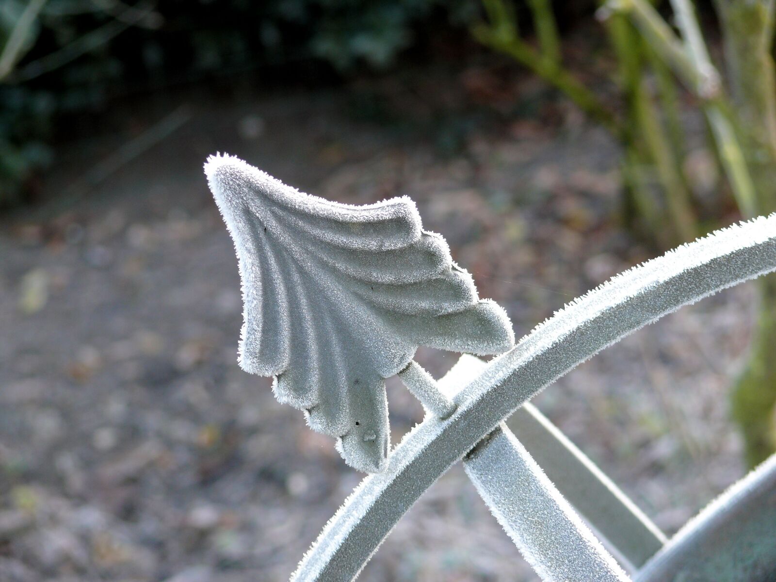 Panasonic DMC-FZ50 sample photo. Fence, winter, ice photography