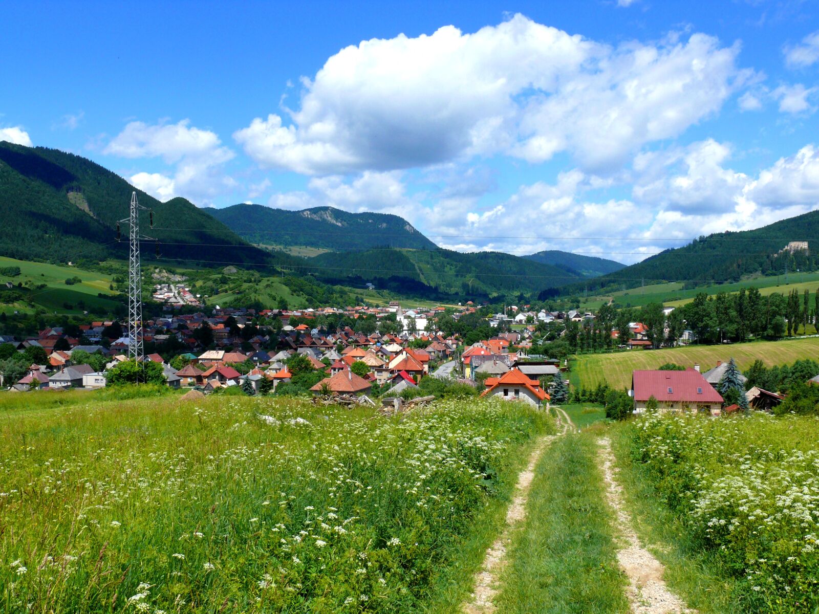 Panasonic DMC-FZ50 sample photo. The village, countryside, landscape photography